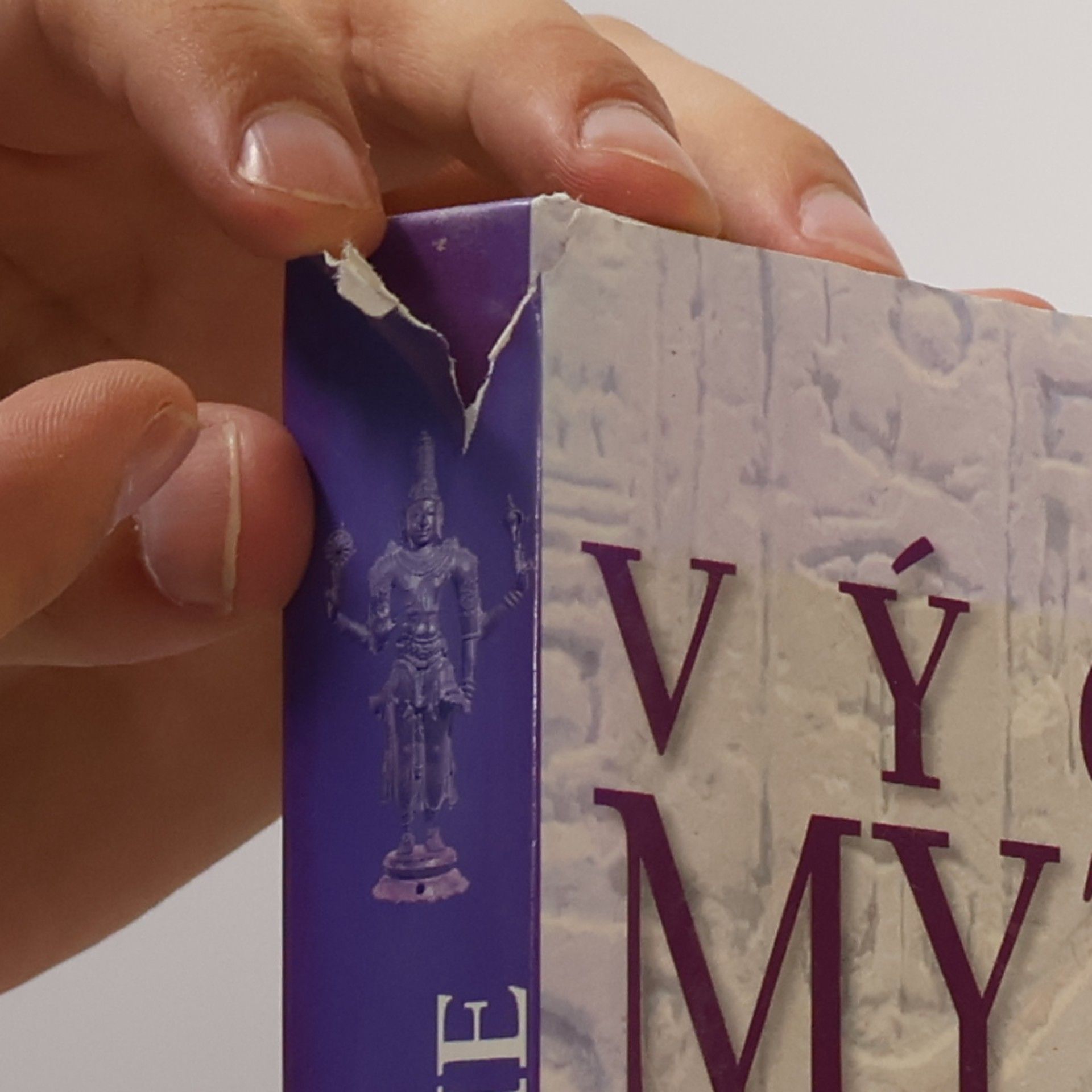 Rachel Storm Encyklopedie východní mytologie: Legendy Východu: mýty a příběhy o hrdinech, bozích a válečnících starověkého Egypta, Arábie, : Persie, Indie, Tibetu, Číny a Japonska