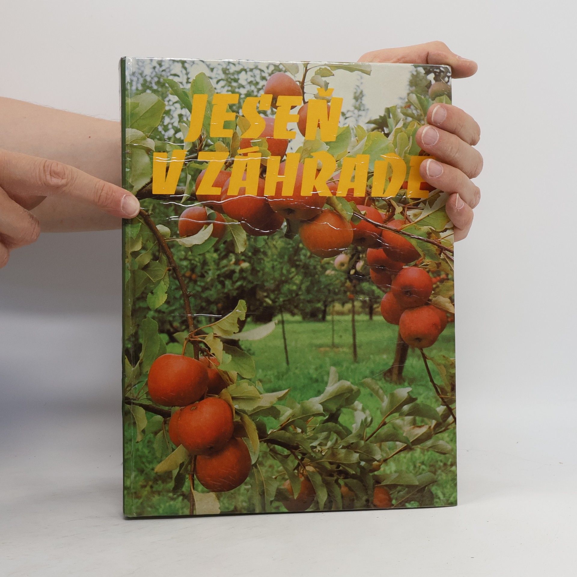 Collectif d'auteurs Jeseň v záhrade