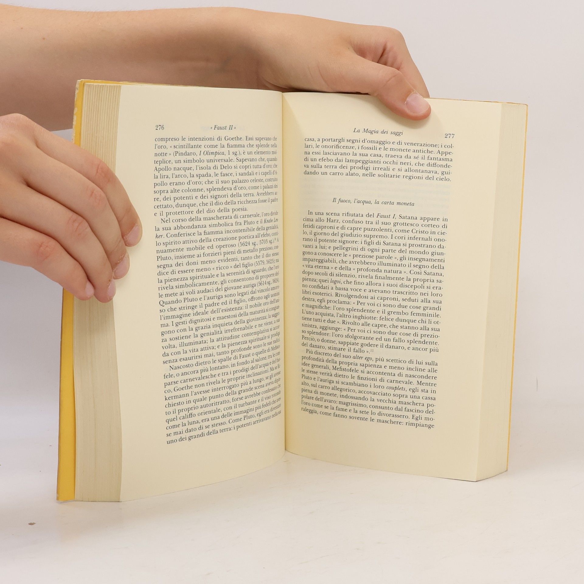 Pietro Citati Biblioteca Adelphi - 220: Goethe