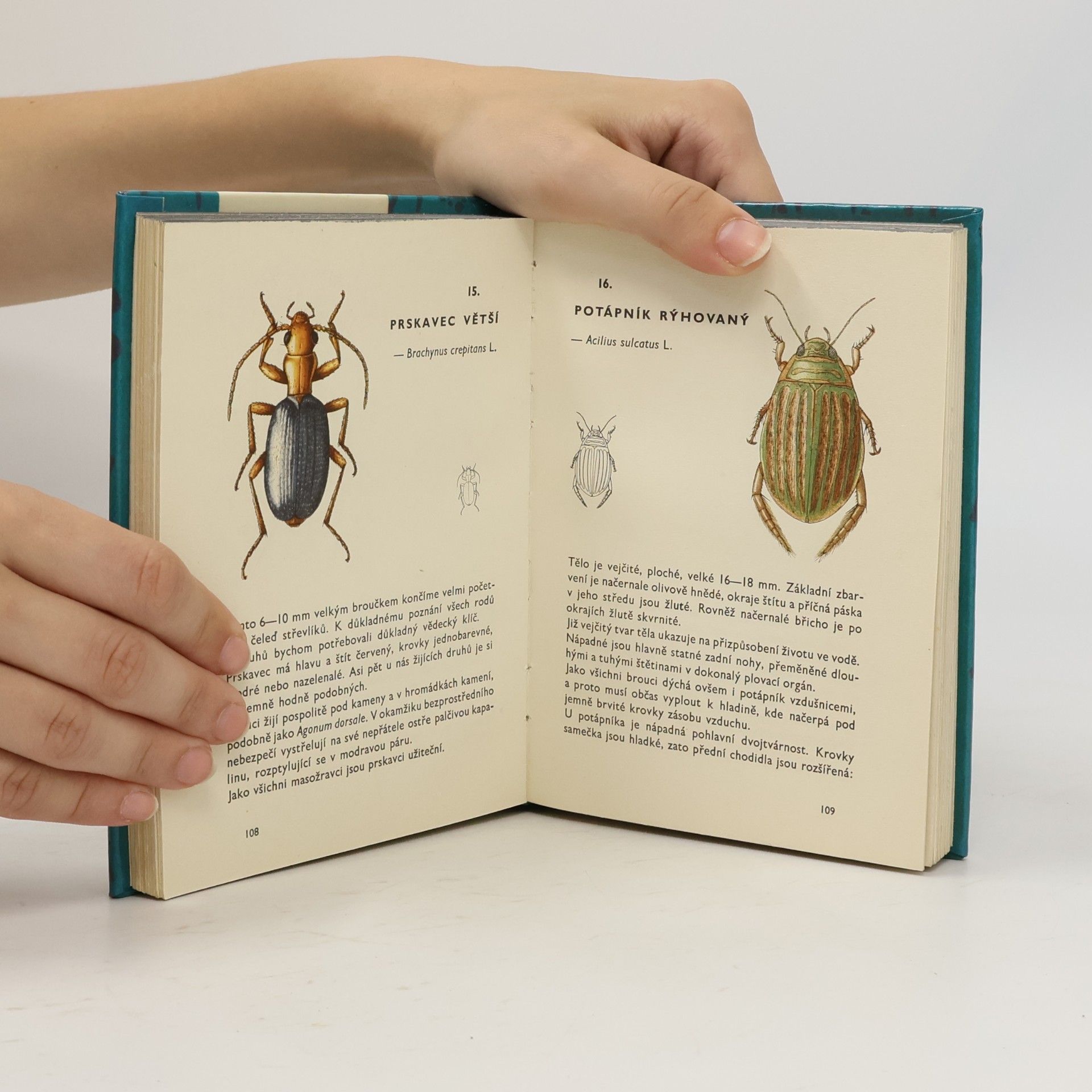 Vladimír Javorek Kapesní atlas brouků