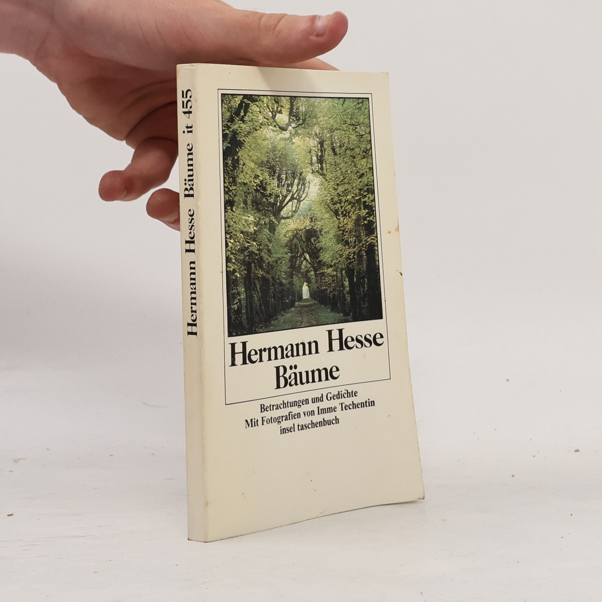 Hermann Hesse Bäume