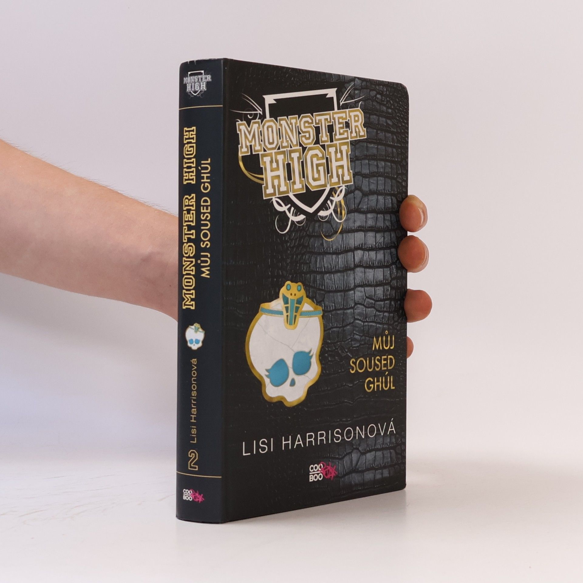 Lisi Harrison Můj soused Ghúl. Monster High 2