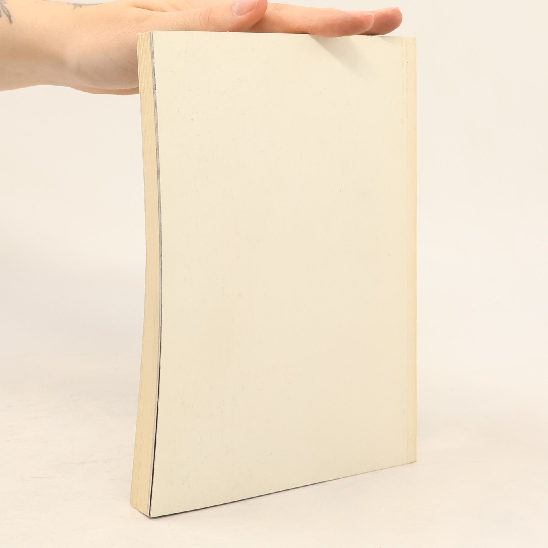 Autorenkollektiv Kärntner Kunst des Mittelalters
