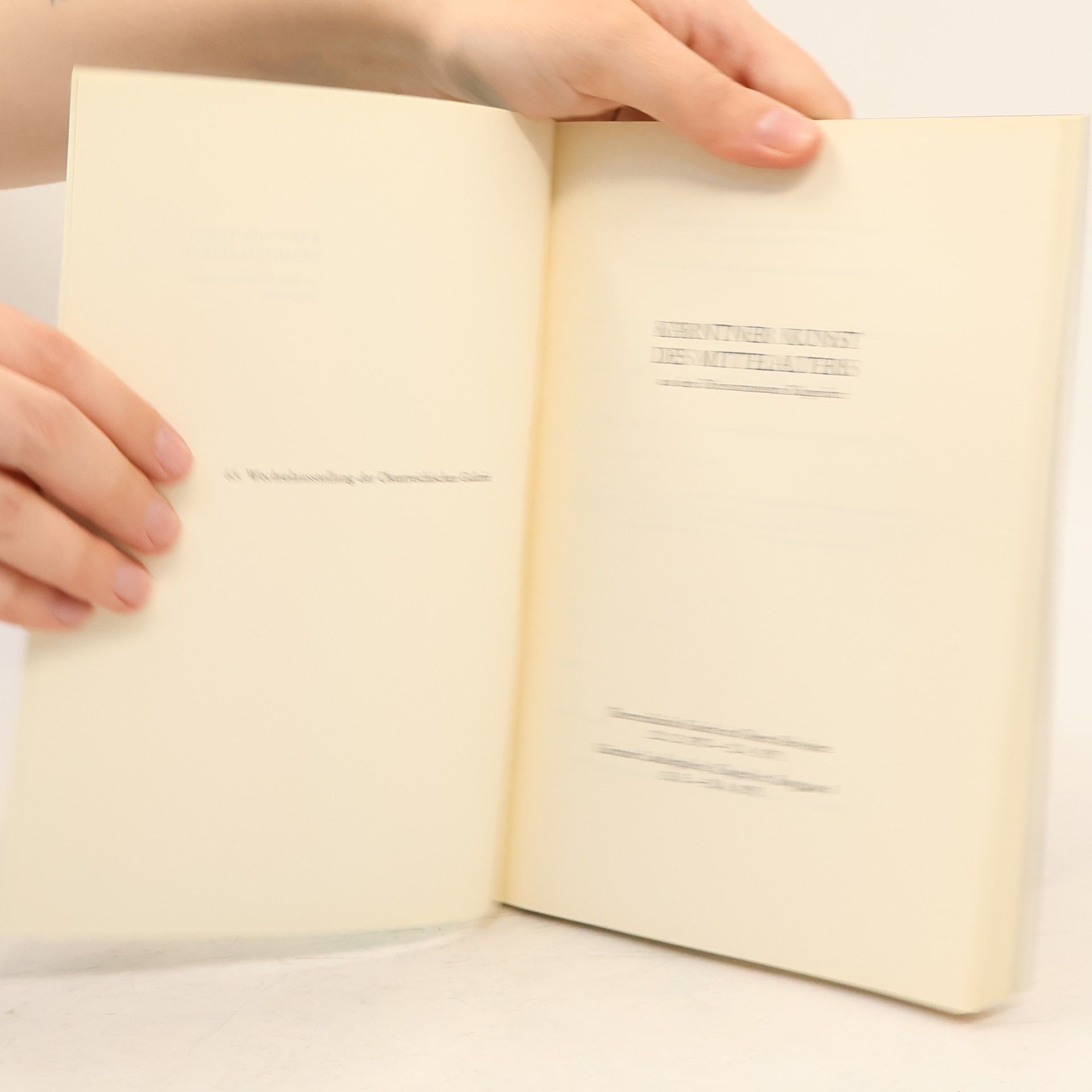 Autorenkollektiv Kärntner Kunst des Mittelalters