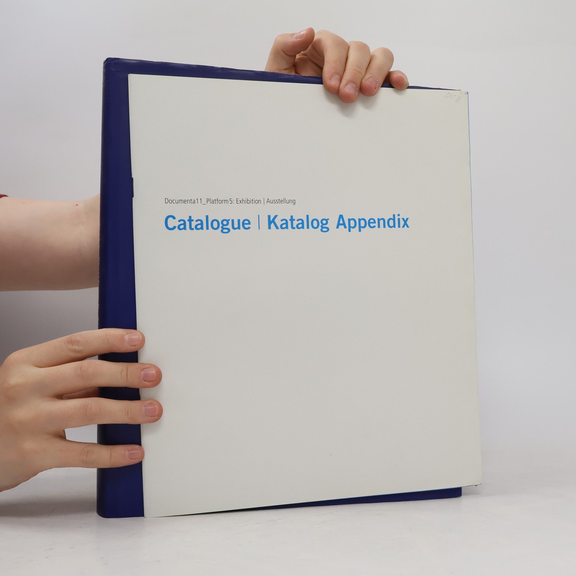 Gerti Fietzek Katalog / Documenta 11