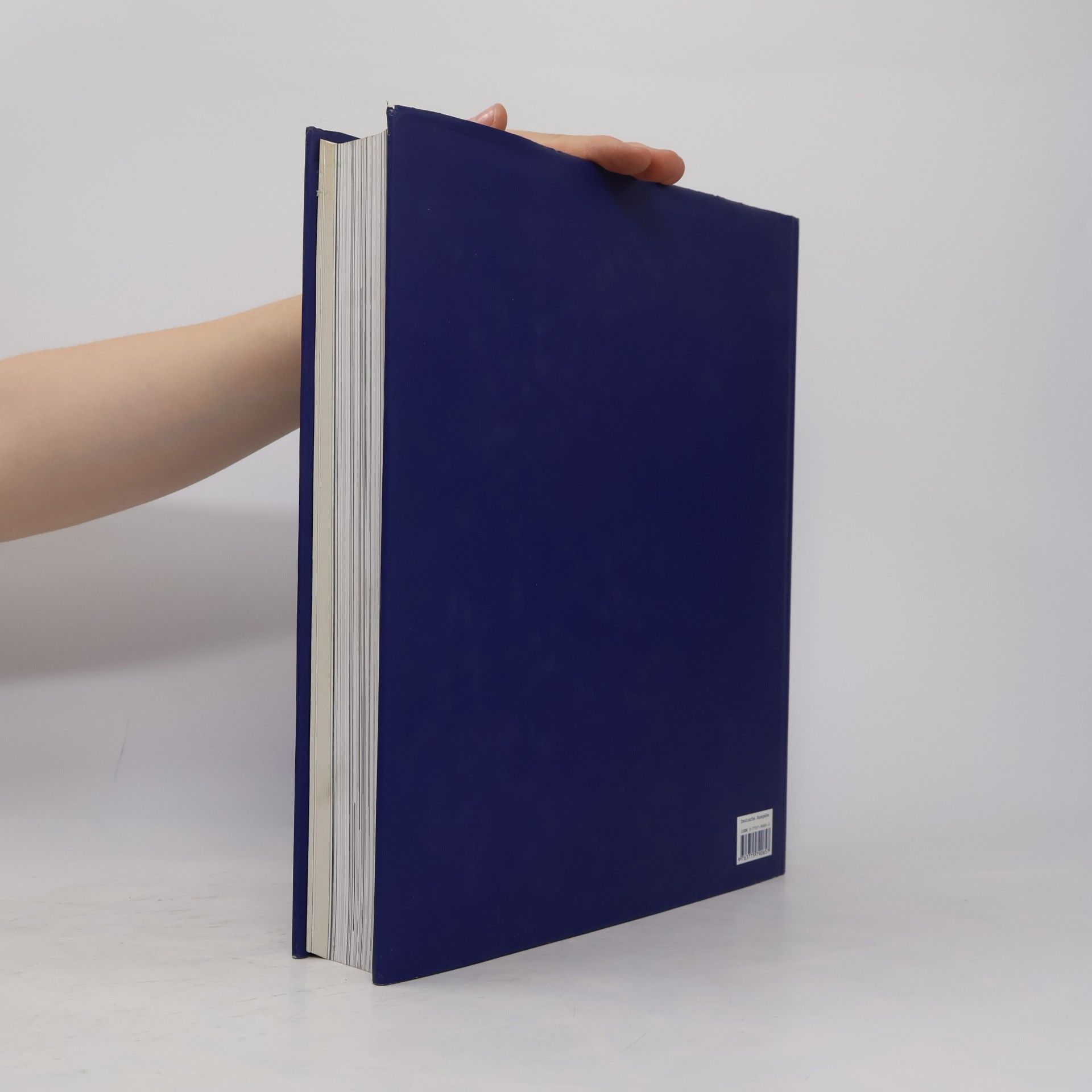 Gerti Fietzek Katalog / Documenta 11