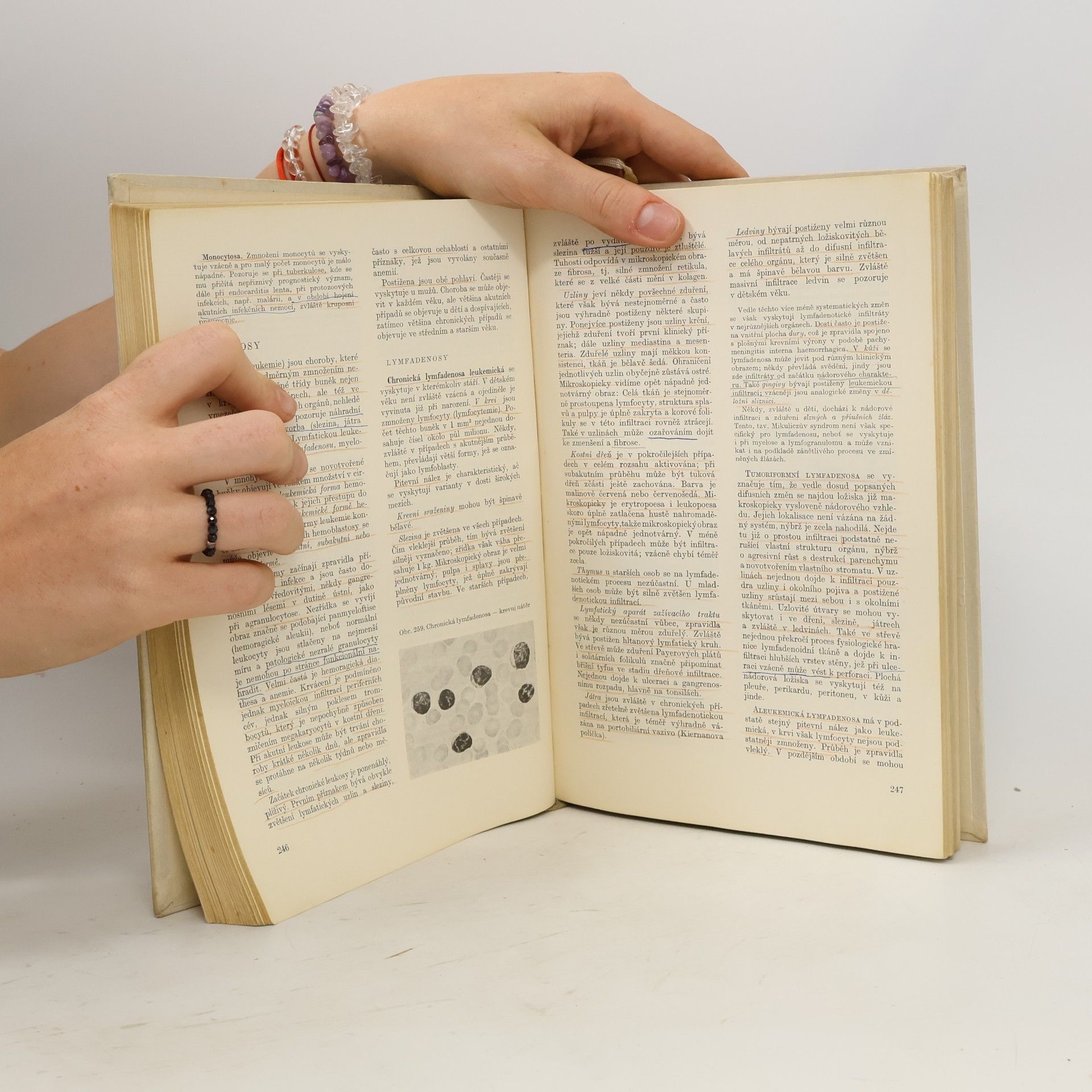 Rudolf Vaněček Úvod do patologie. Učebnice patologie pro stud. lék. fakult
