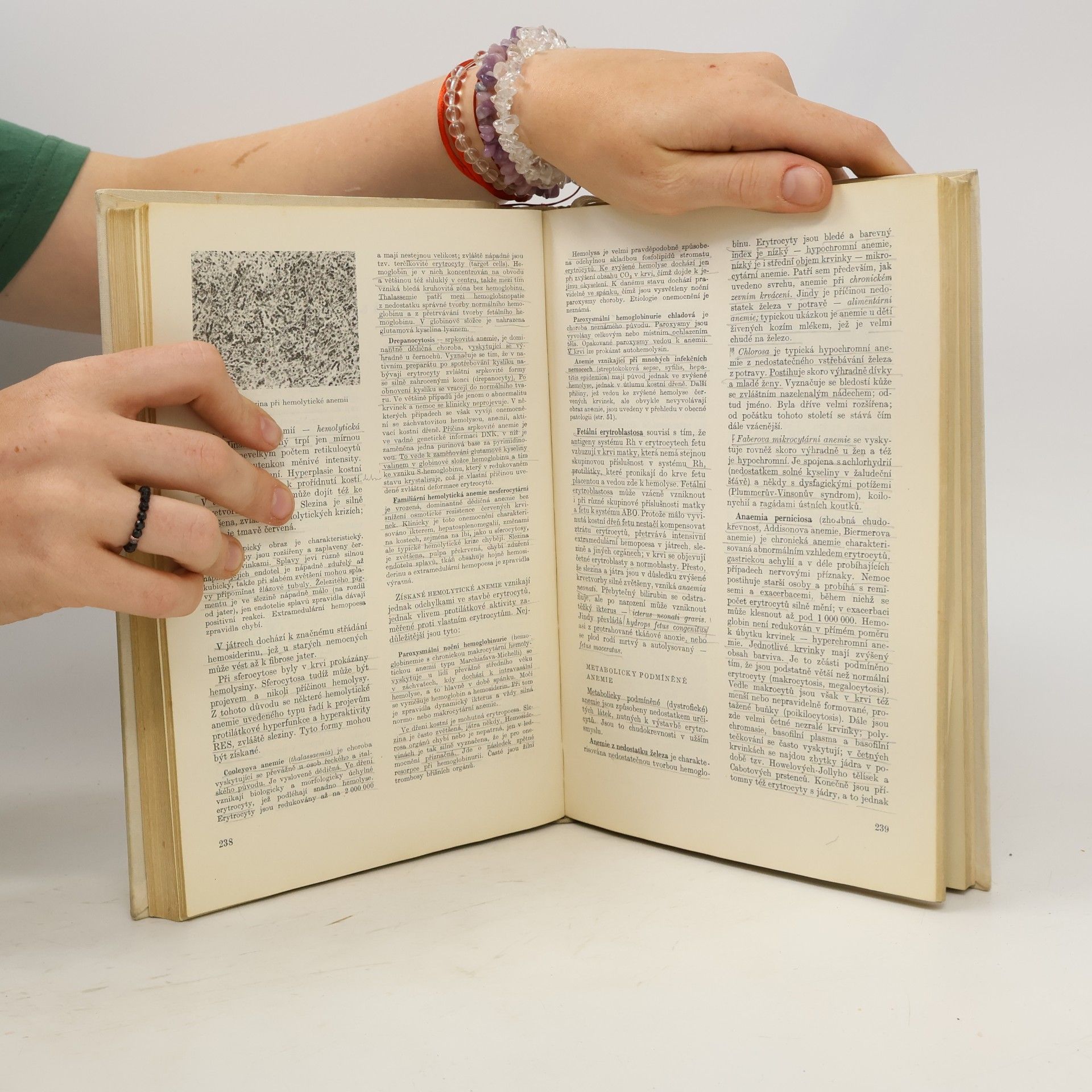 Rudolf Vaněček Úvod do patologie. Učebnice patologie pro stud. lék. fakult