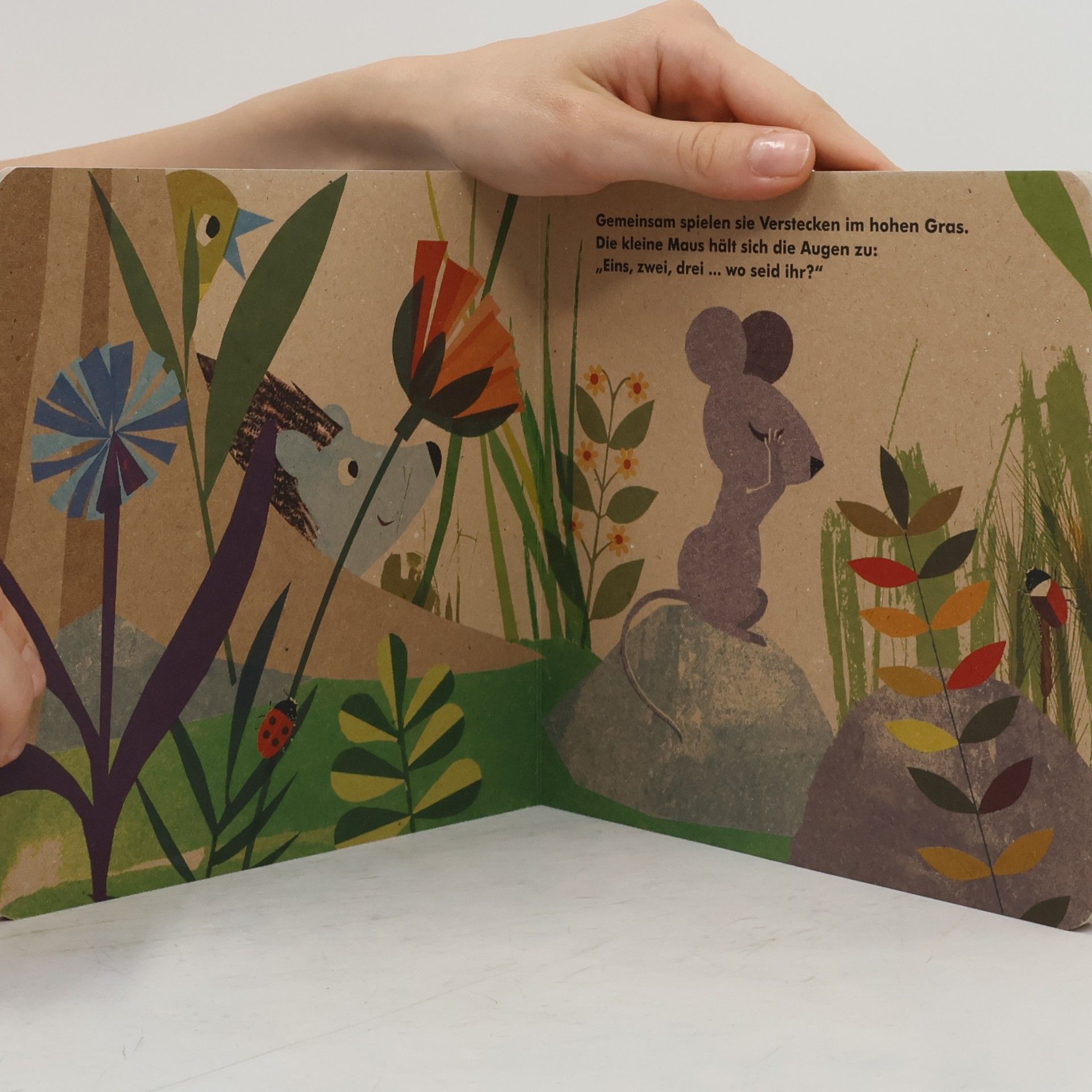 Britta Teckentrup Meine kleine Maus
