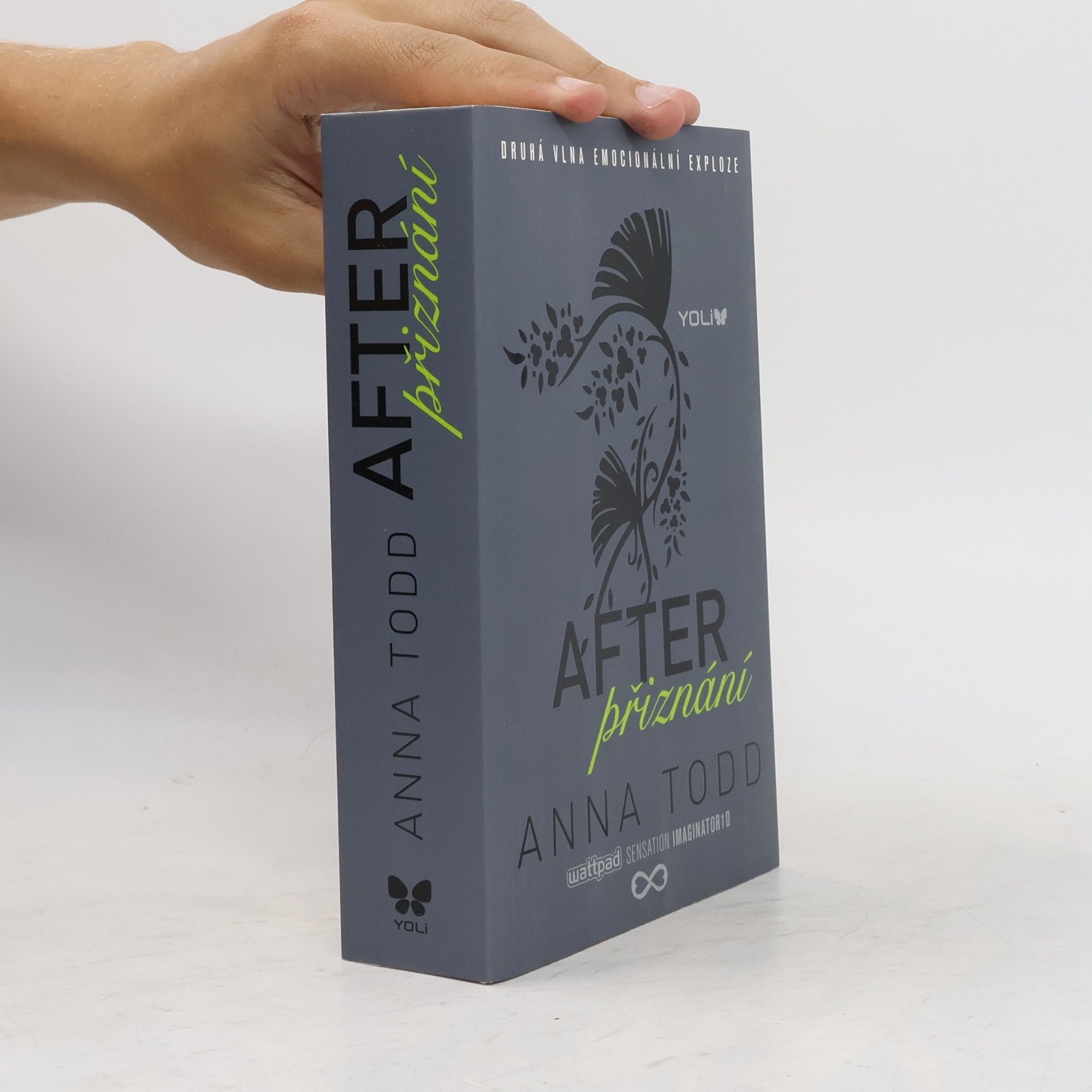 Anna Todd After. Přiznání