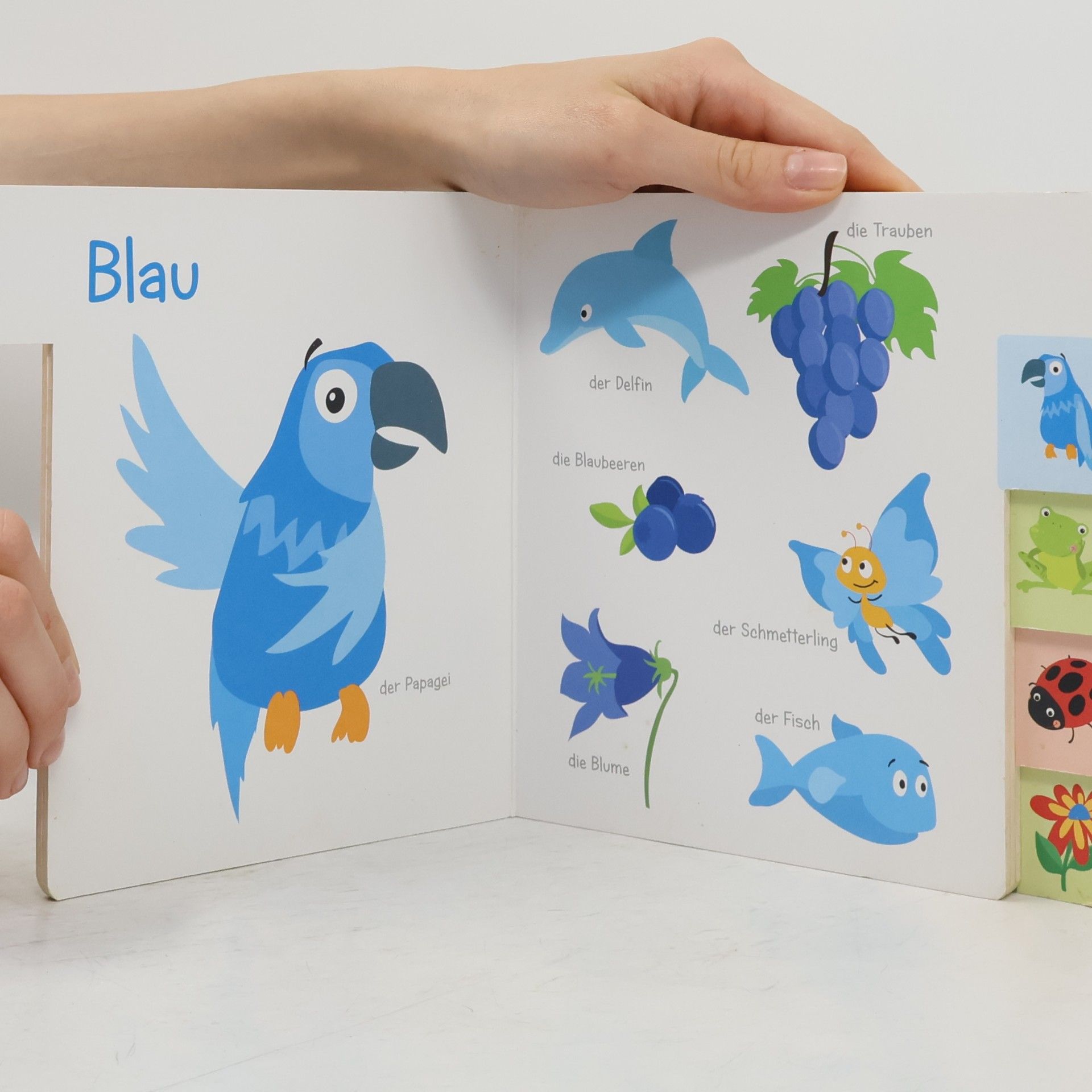 Oli Poppins Mein erstes Registerbuch Farben