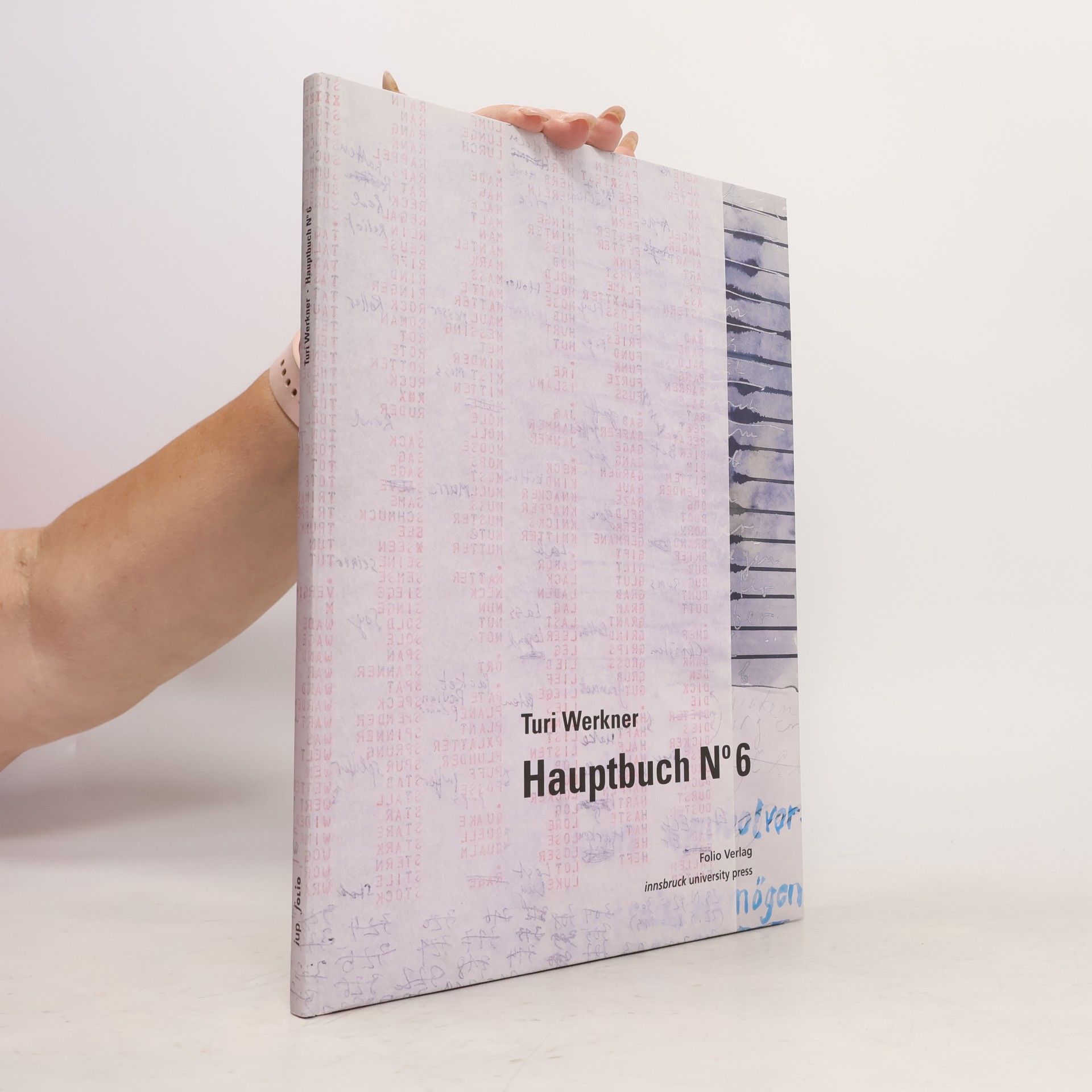 Turi Werkner Hauptbuch No 6