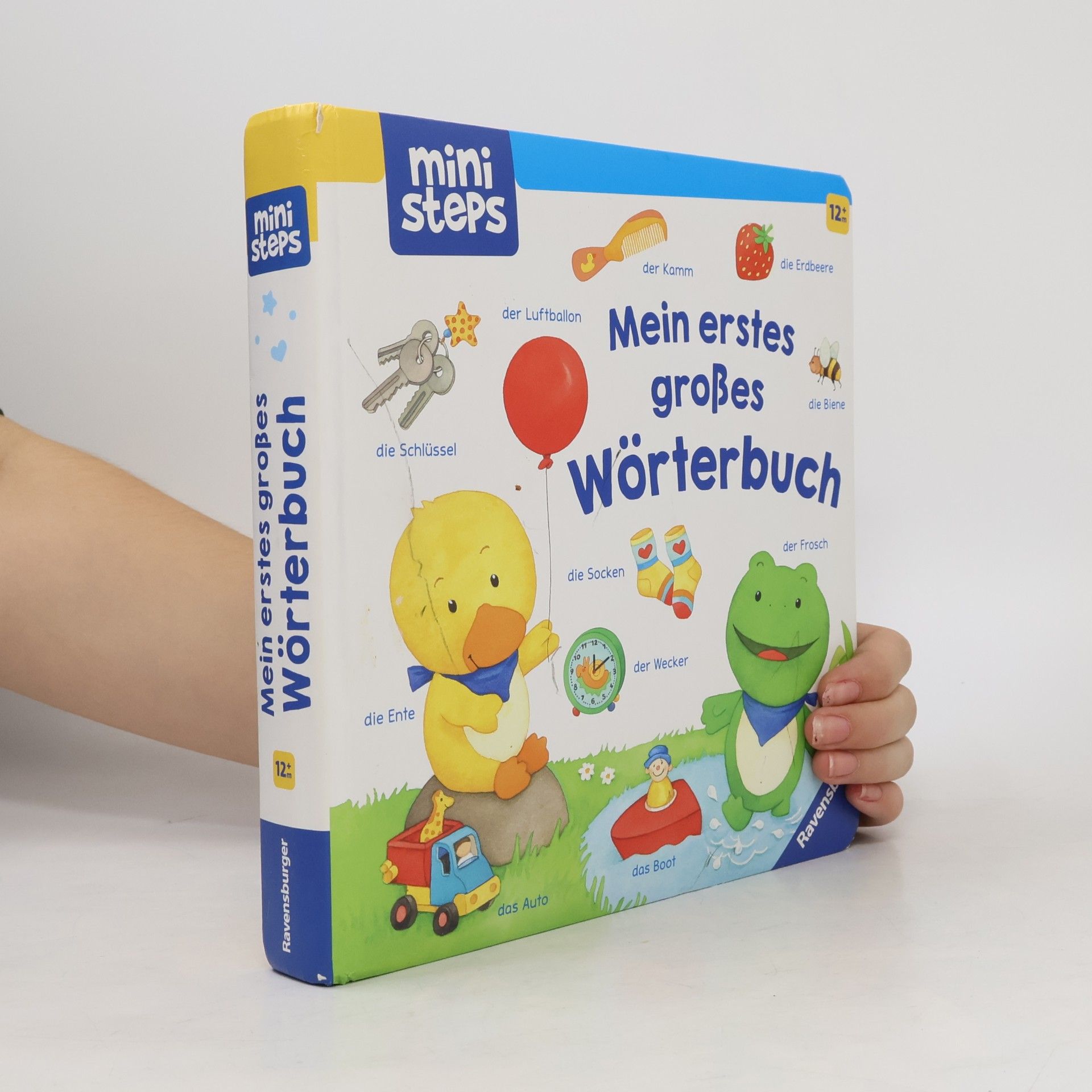 Hannelore Dierks Mein erstes großes Wörterbuch