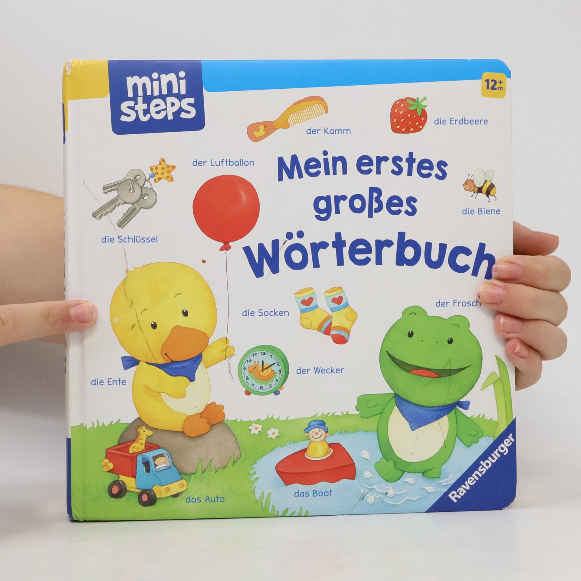 Hannelore Dierks Mein erstes großes Wörterbuch