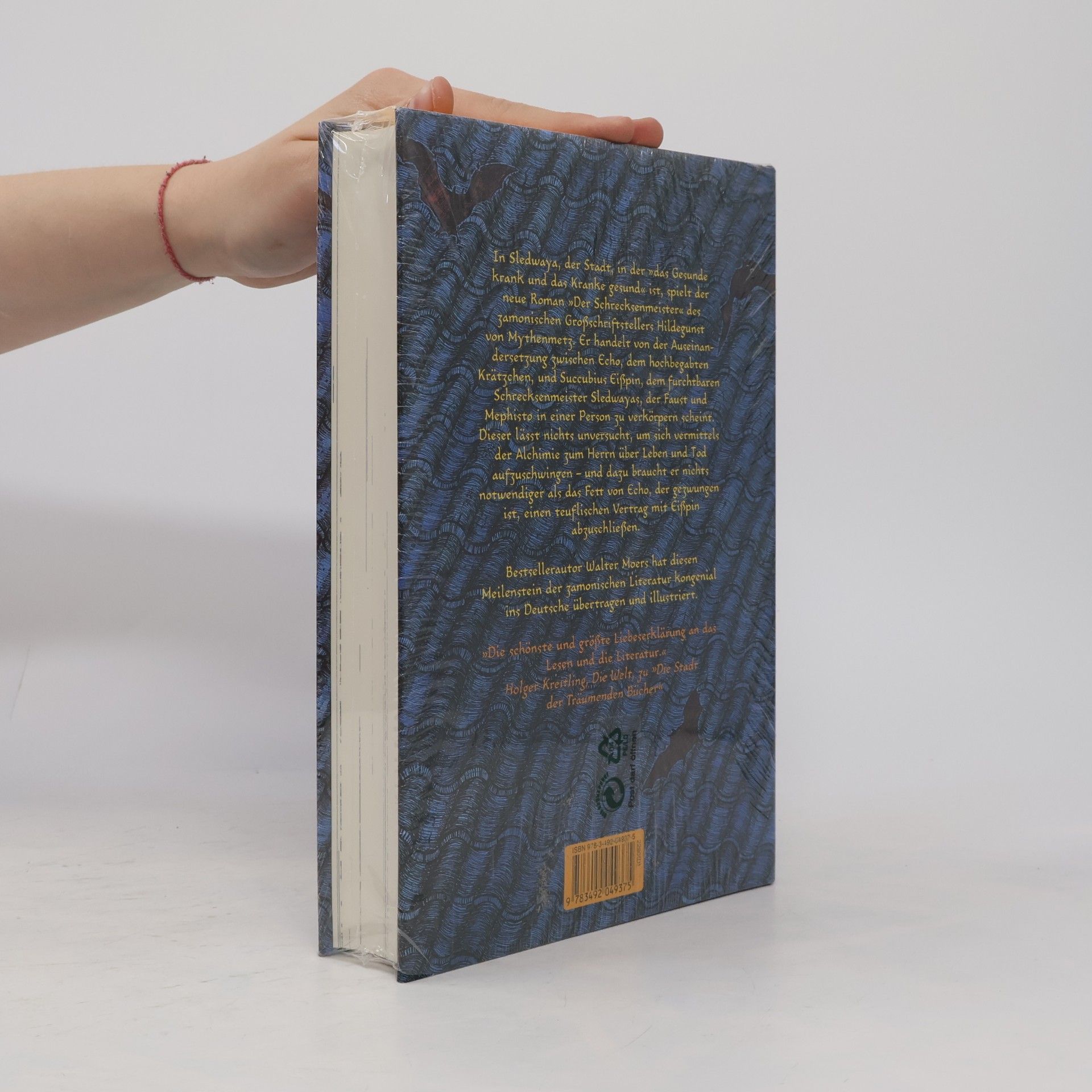 Walter Moers Der Schrecksenmeister