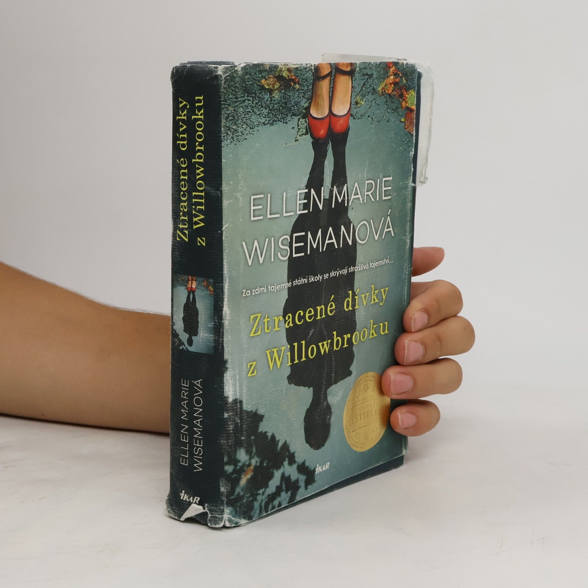 Ellen Marie Wiseman Ztracené dívky z Willowbrooku