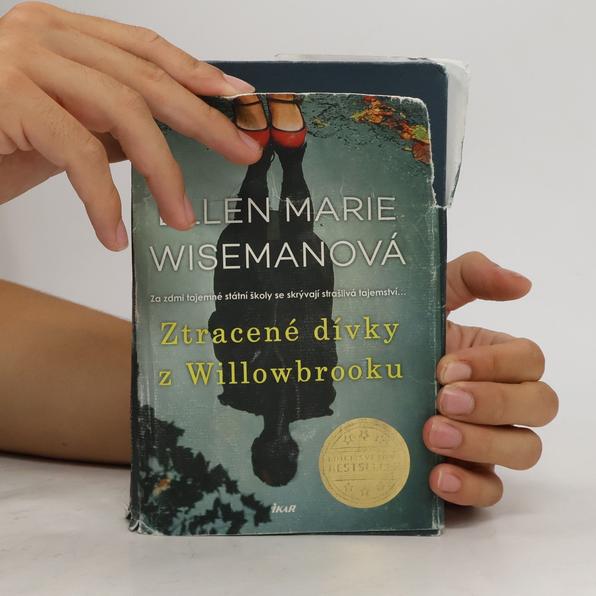 Ellen Marie Wiseman Ztracené dívky z Willowbrooku