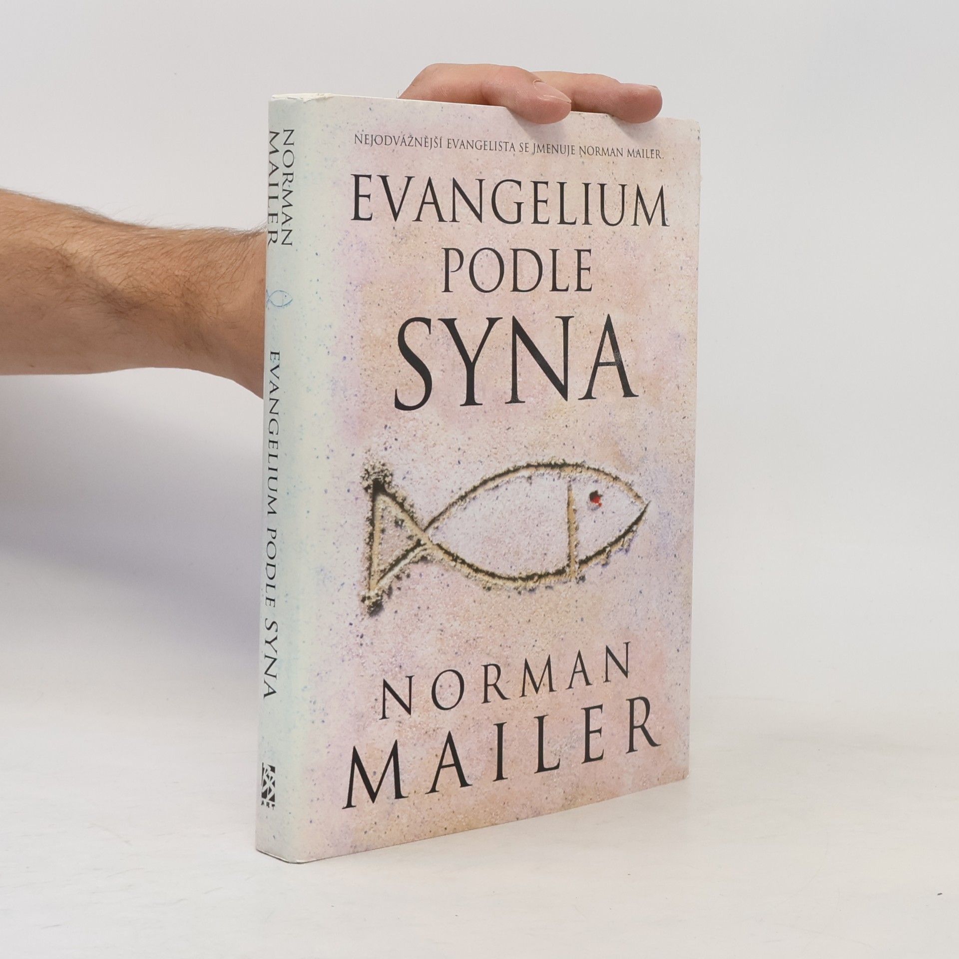Norman Mailer Evangelium podle syna