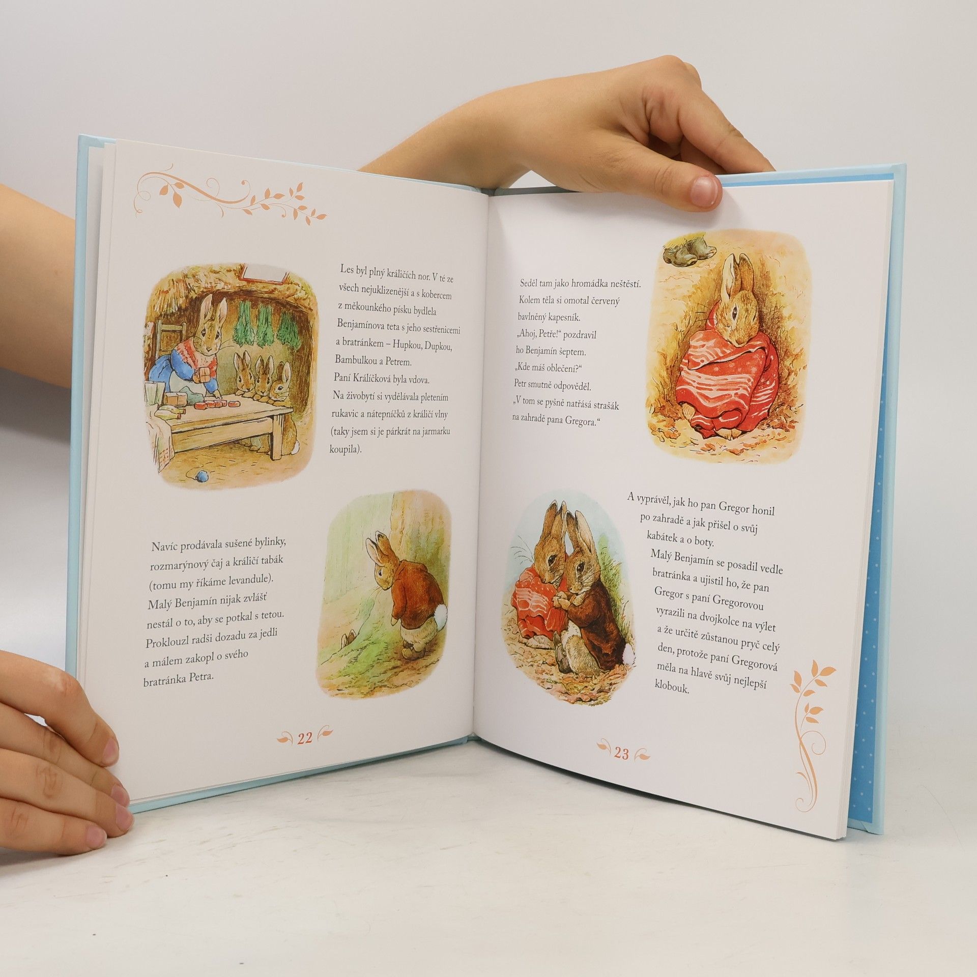 Beatrix Potter Příběhy králíčka Petra