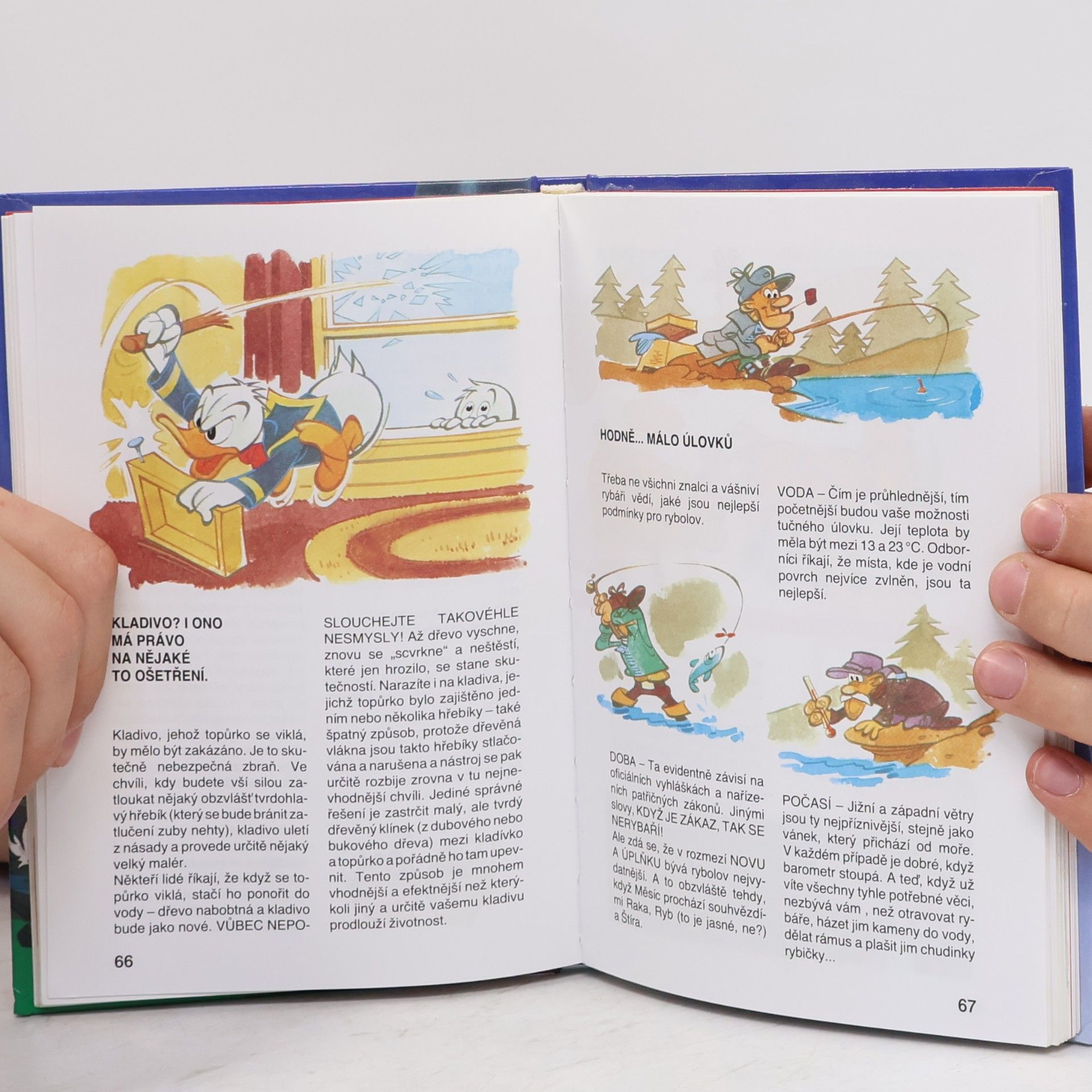 Walt Disney 2. příručka mladých svišťů