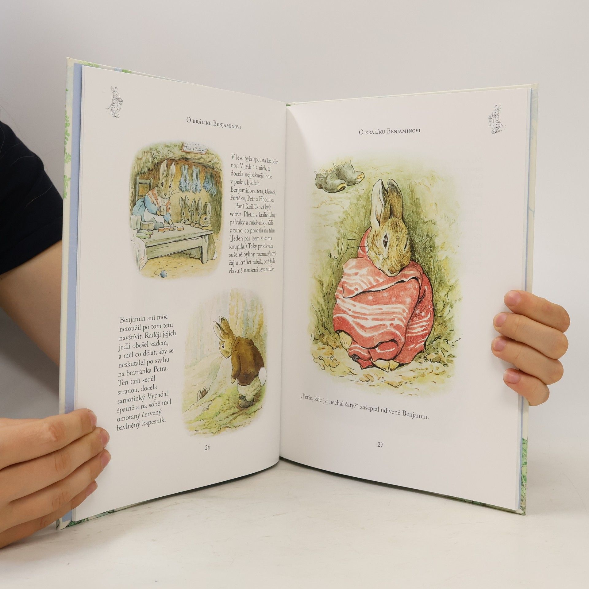 Beatrix Potter Dobrodružství králíčka Petra