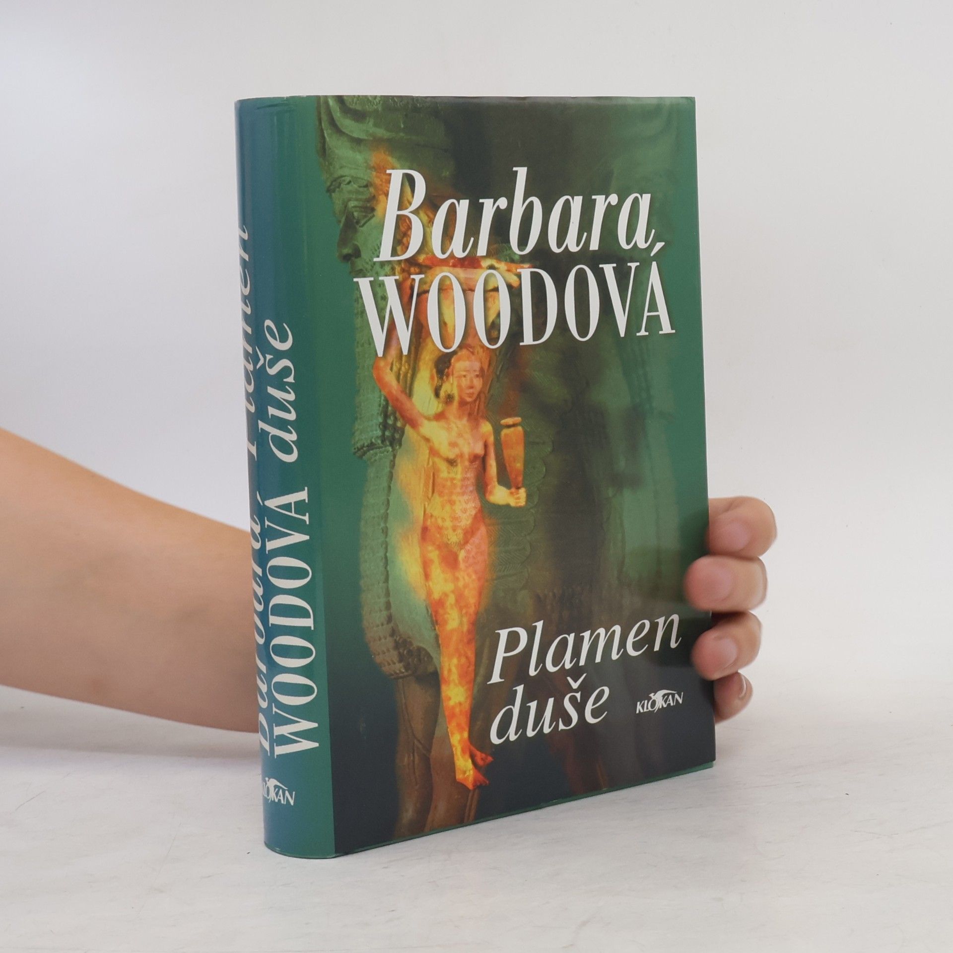 Barbara Wood Plamen duše