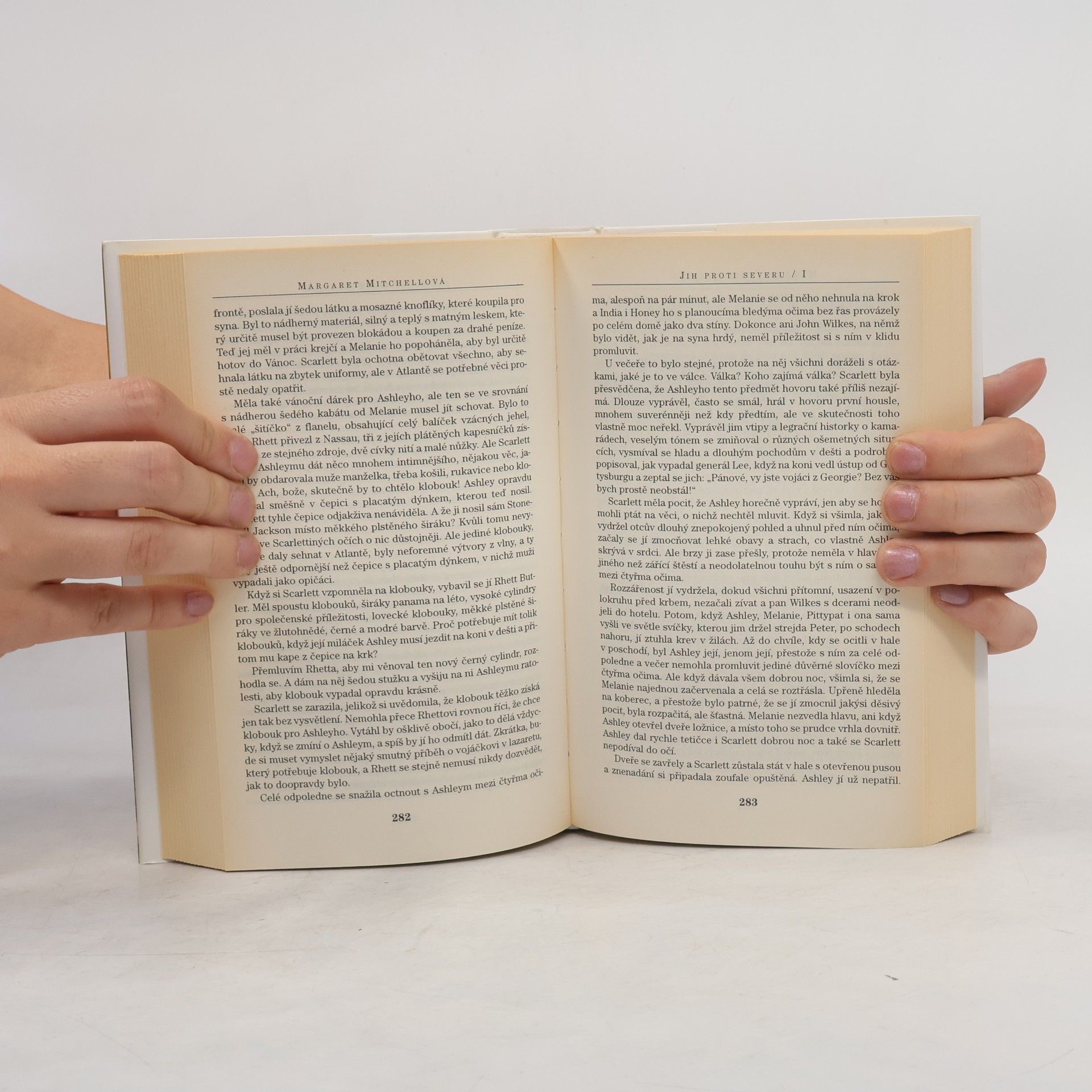 Margaret Mitchell Jih proti Severu I. díl