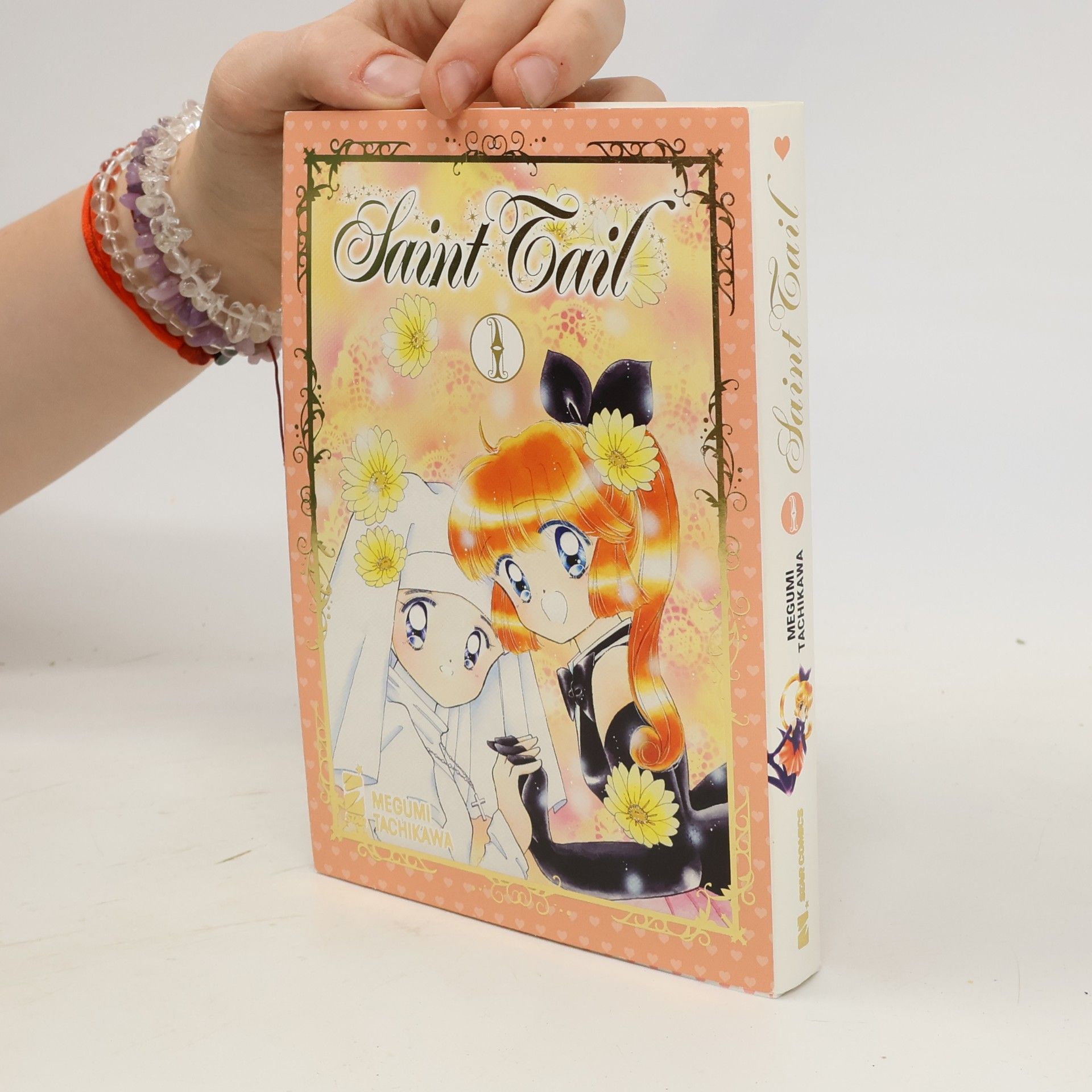 Megumi Tachikawa Saint Tail