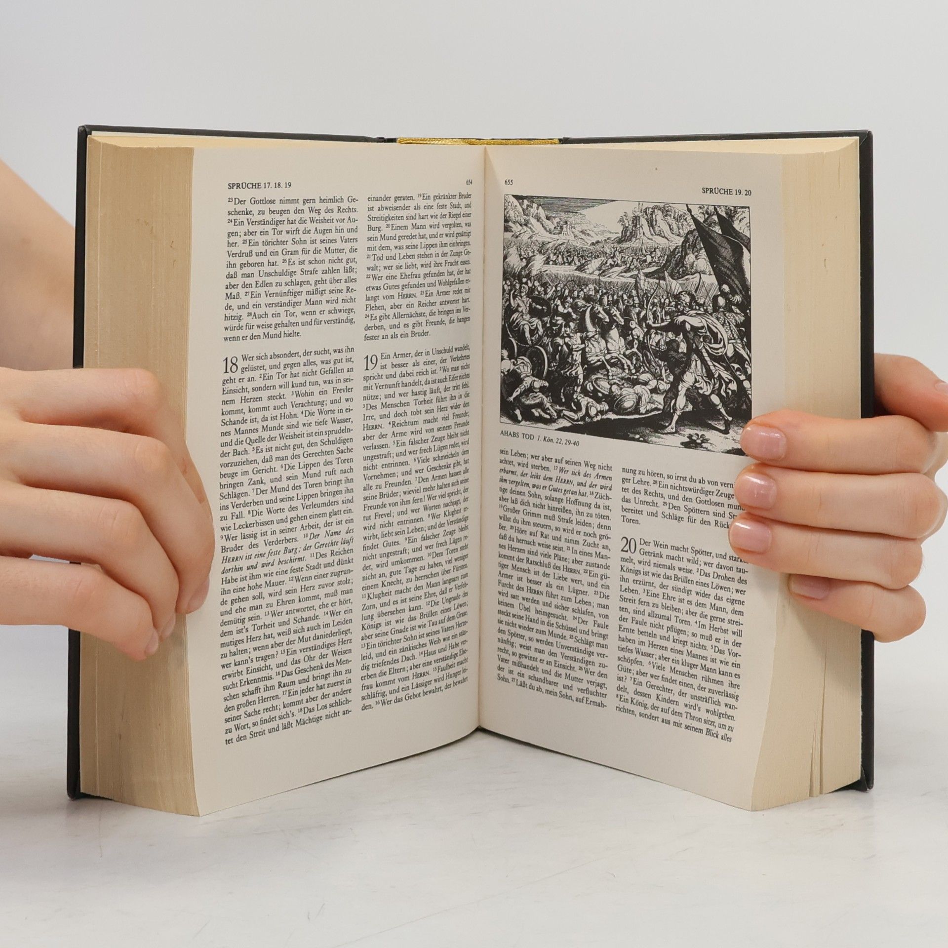 Matthäus Merian Die Bibel
