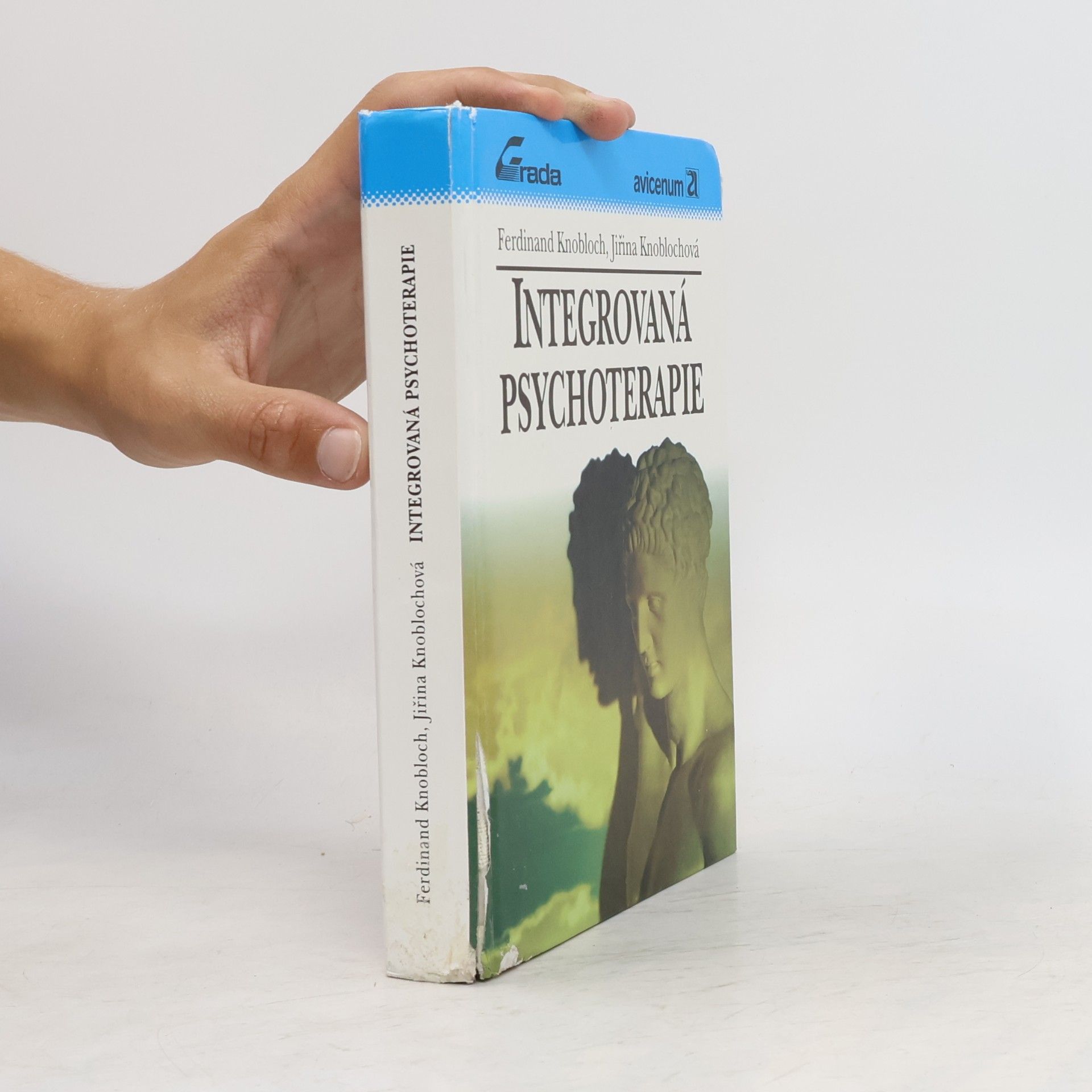 Ferdinand Knobloch Integrovaná psychoterapie
