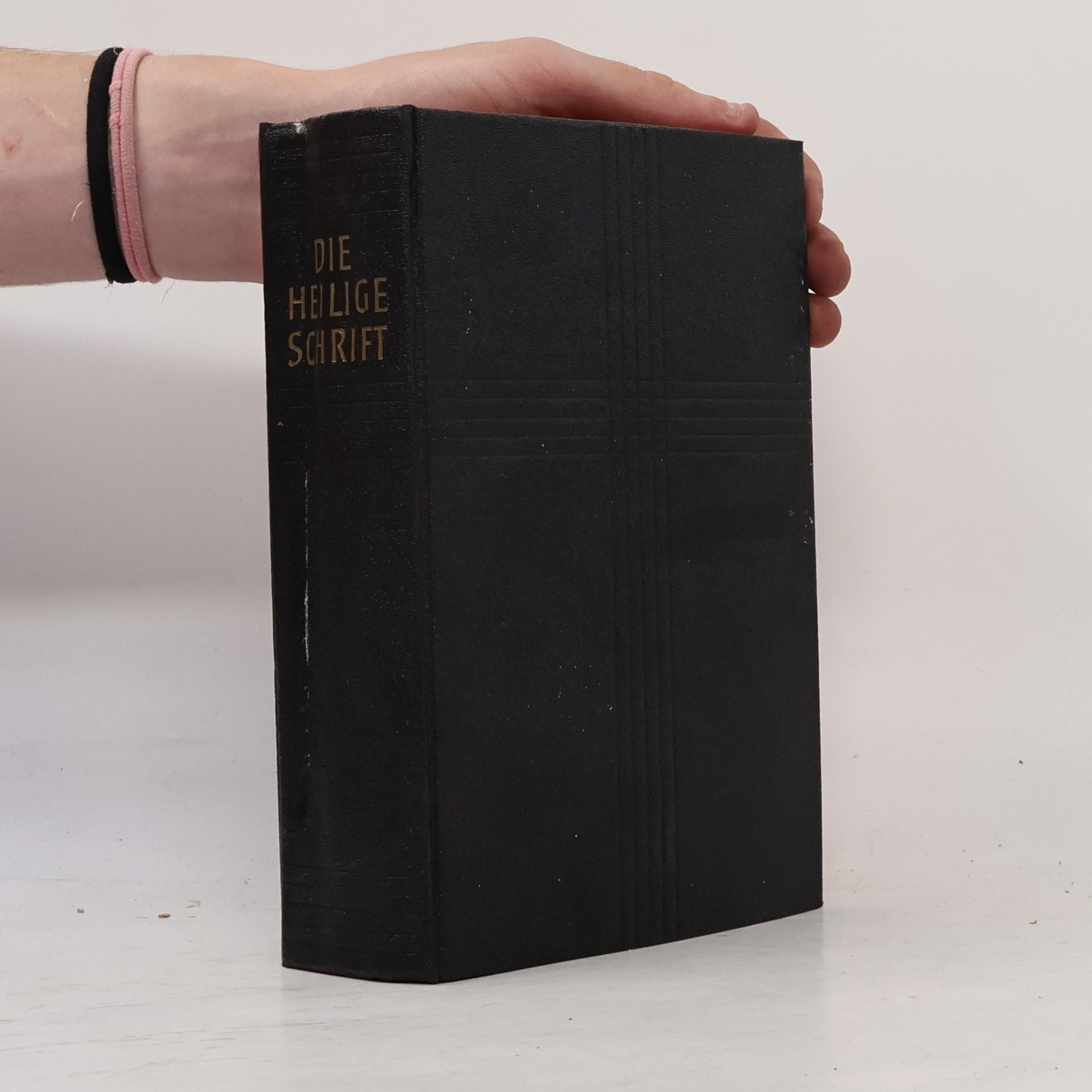 Martin Luther Die Bibel oder die ganze Heilige Schrift des Alten und Neuen Testaments