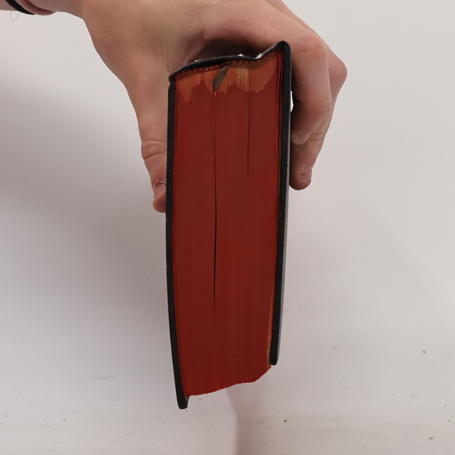 Martin Luther Die Bibel oder die ganze Heilige Schrift des Alten und Neuen Testaments