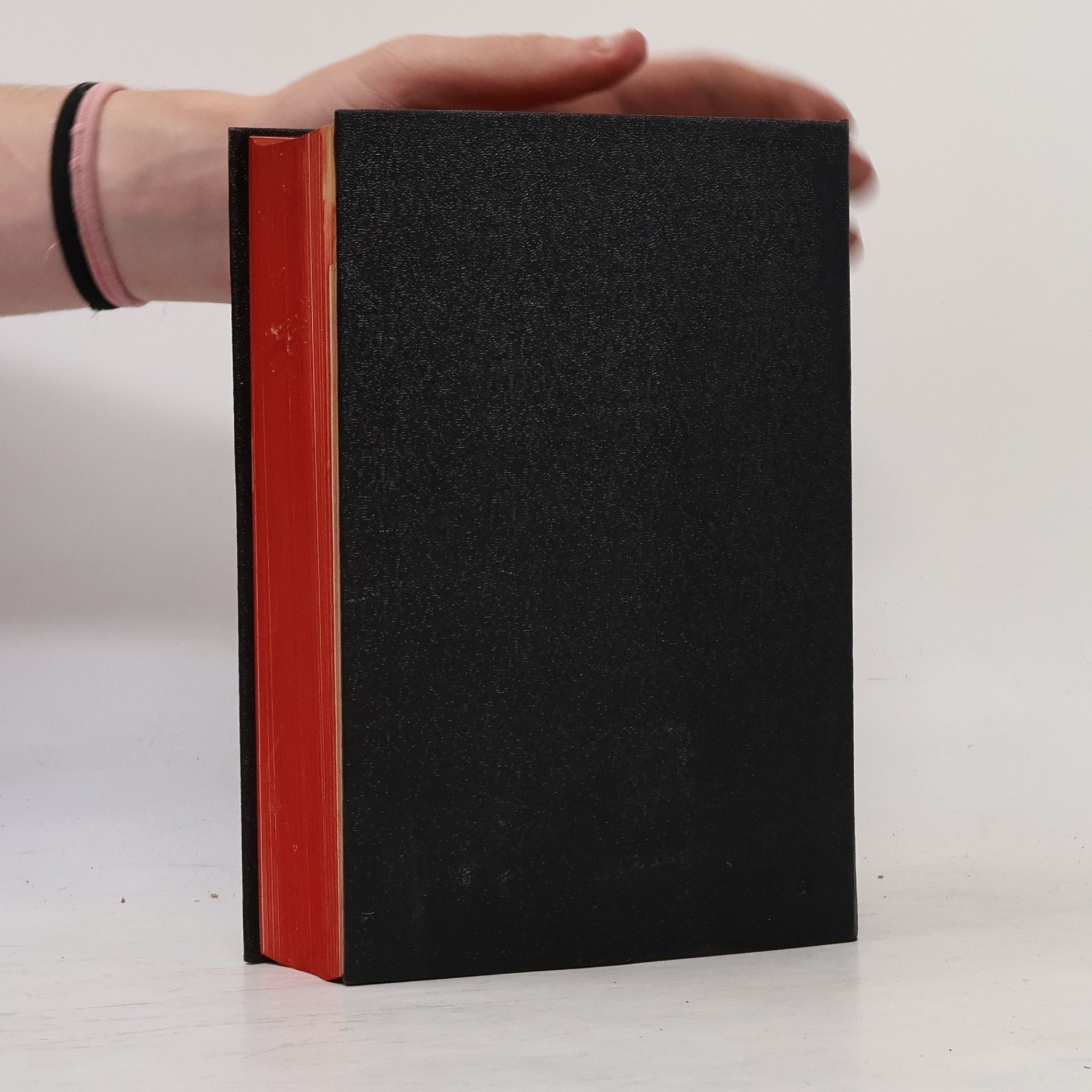 Martin Luther Die Bibel oder die ganze Heilige Schrift des Alten und Neuen Testaments