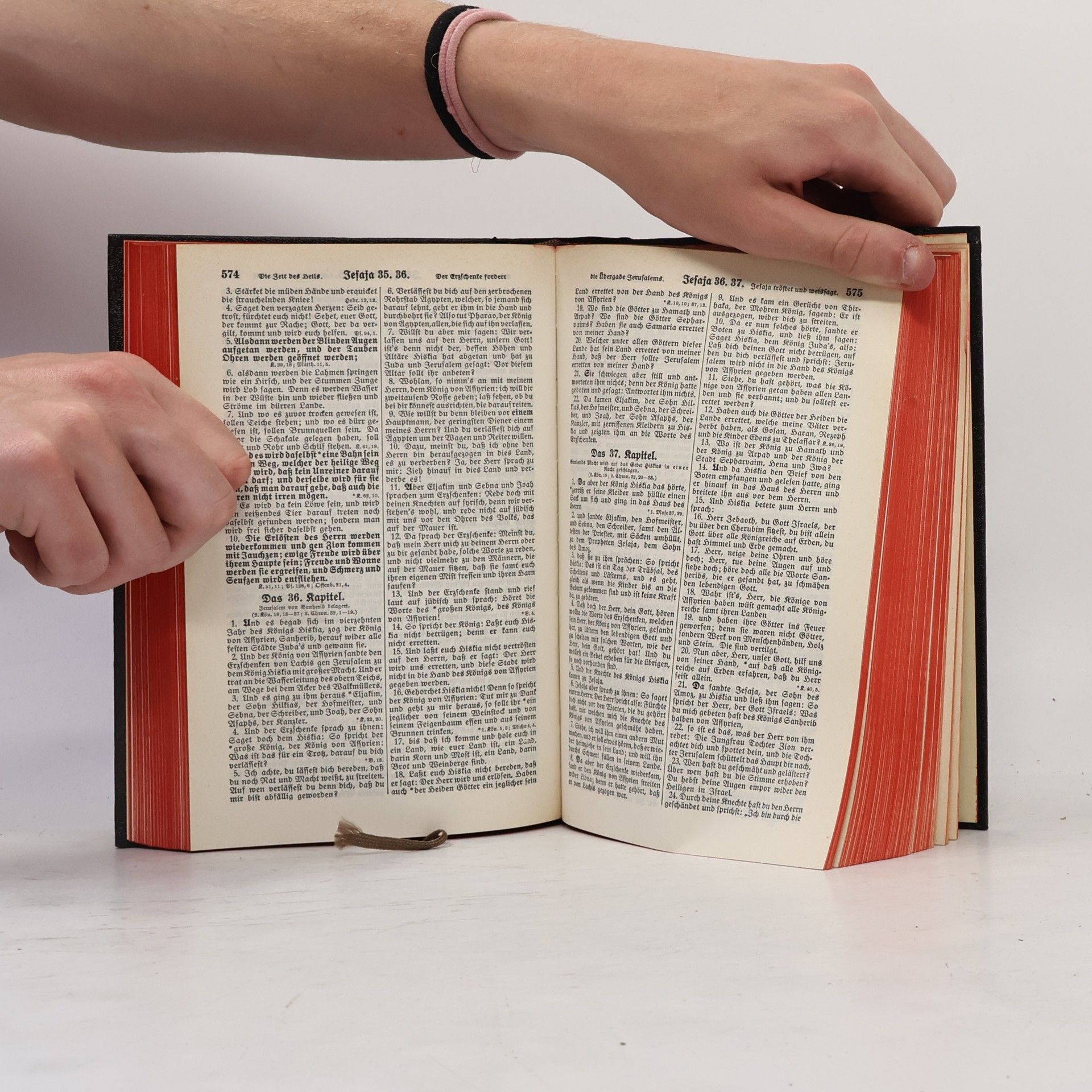 Martin Luther Die Bibel oder die ganze Heilige Schrift des Alten und Neuen Testaments
