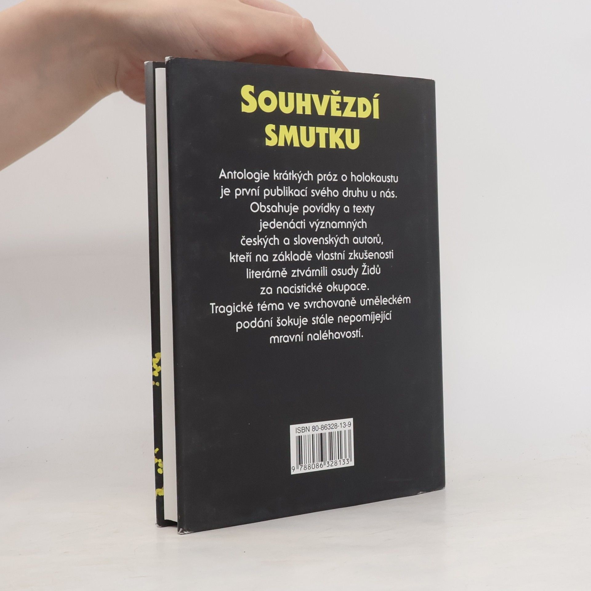 Kolektív autorov Souhvězdí smutku