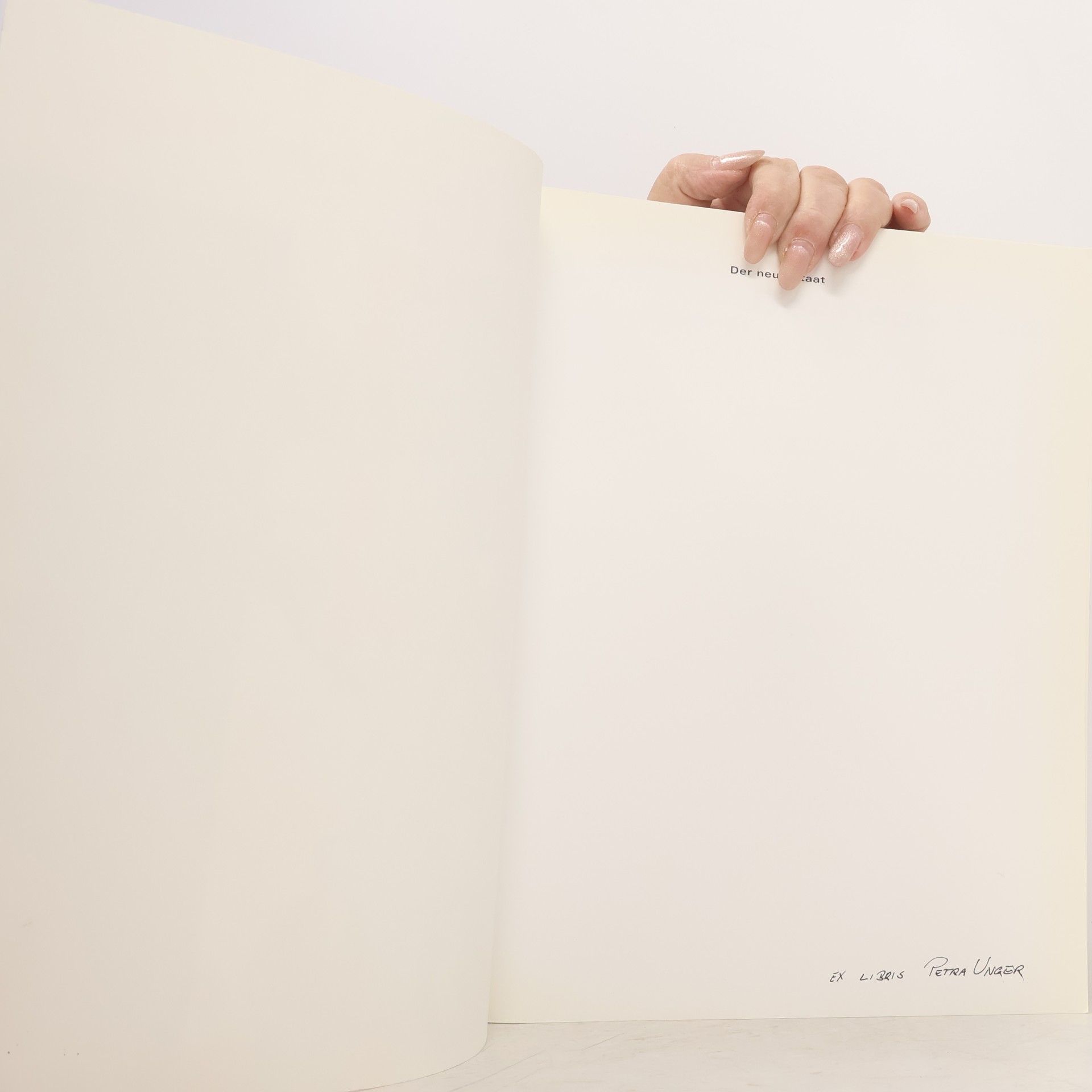 Jan Cavanaugh Der neue Staat