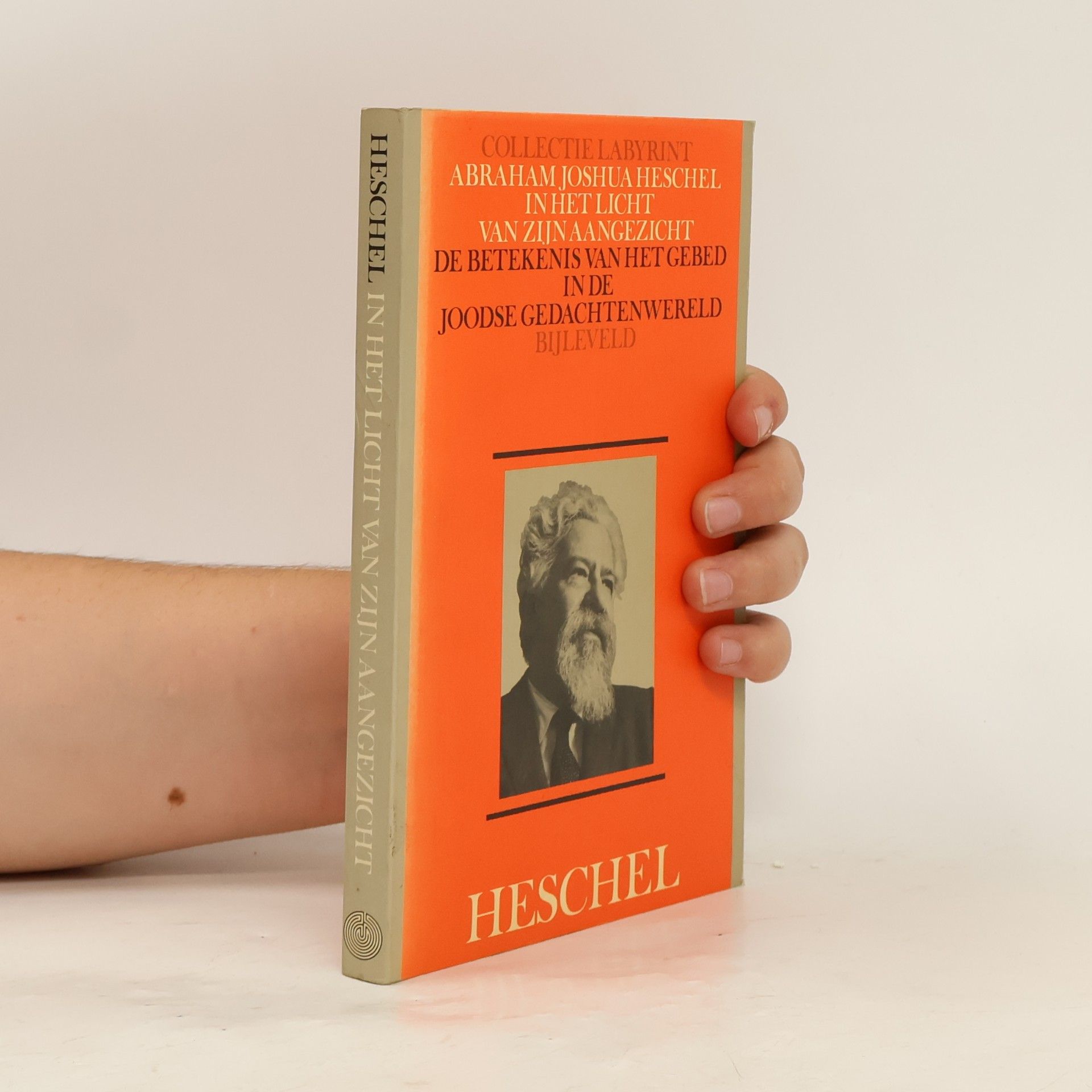 Abraham Joshua Heschel Labyrint: In het licht van Zijn aangezicht