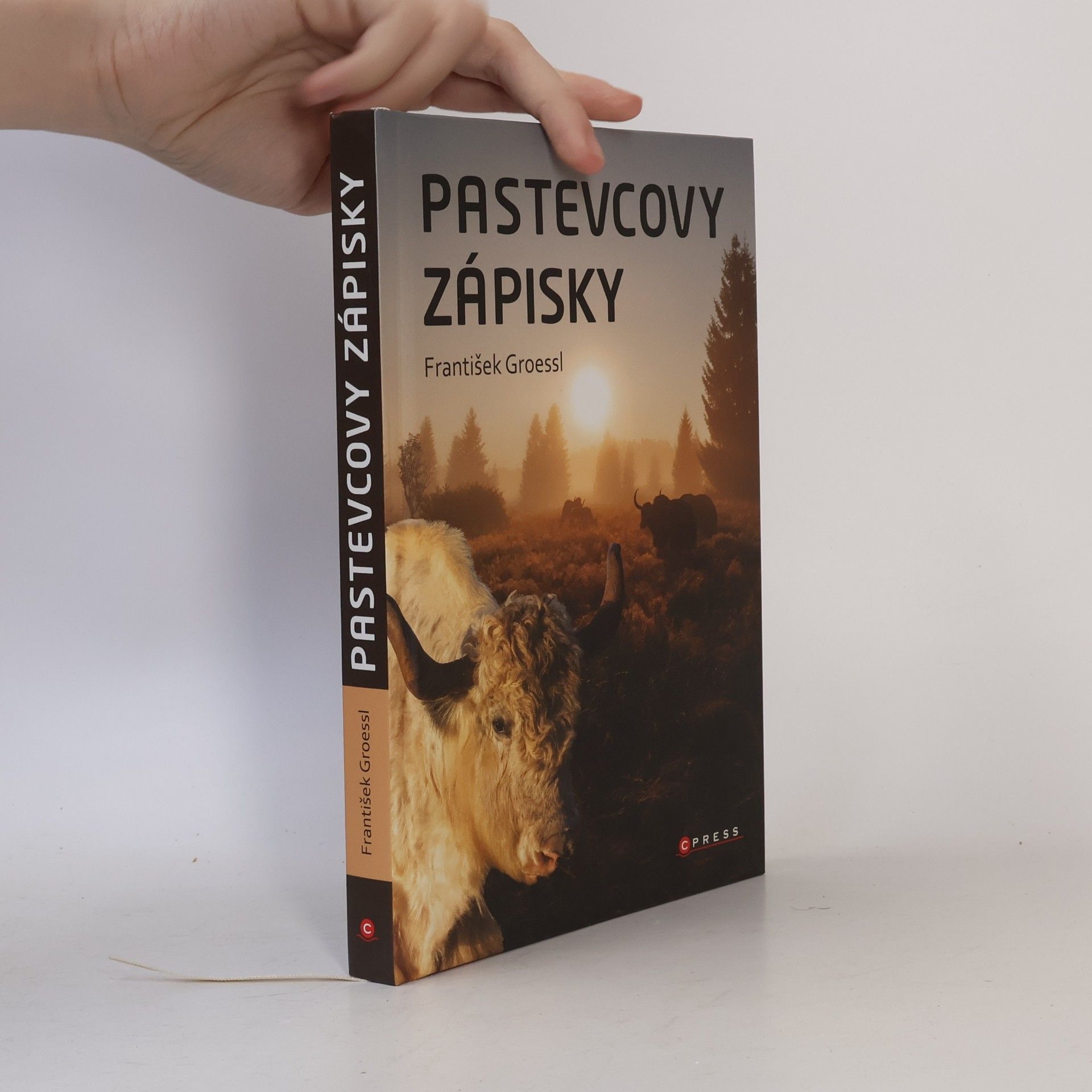 František Groessl Pastevcovy zápisky