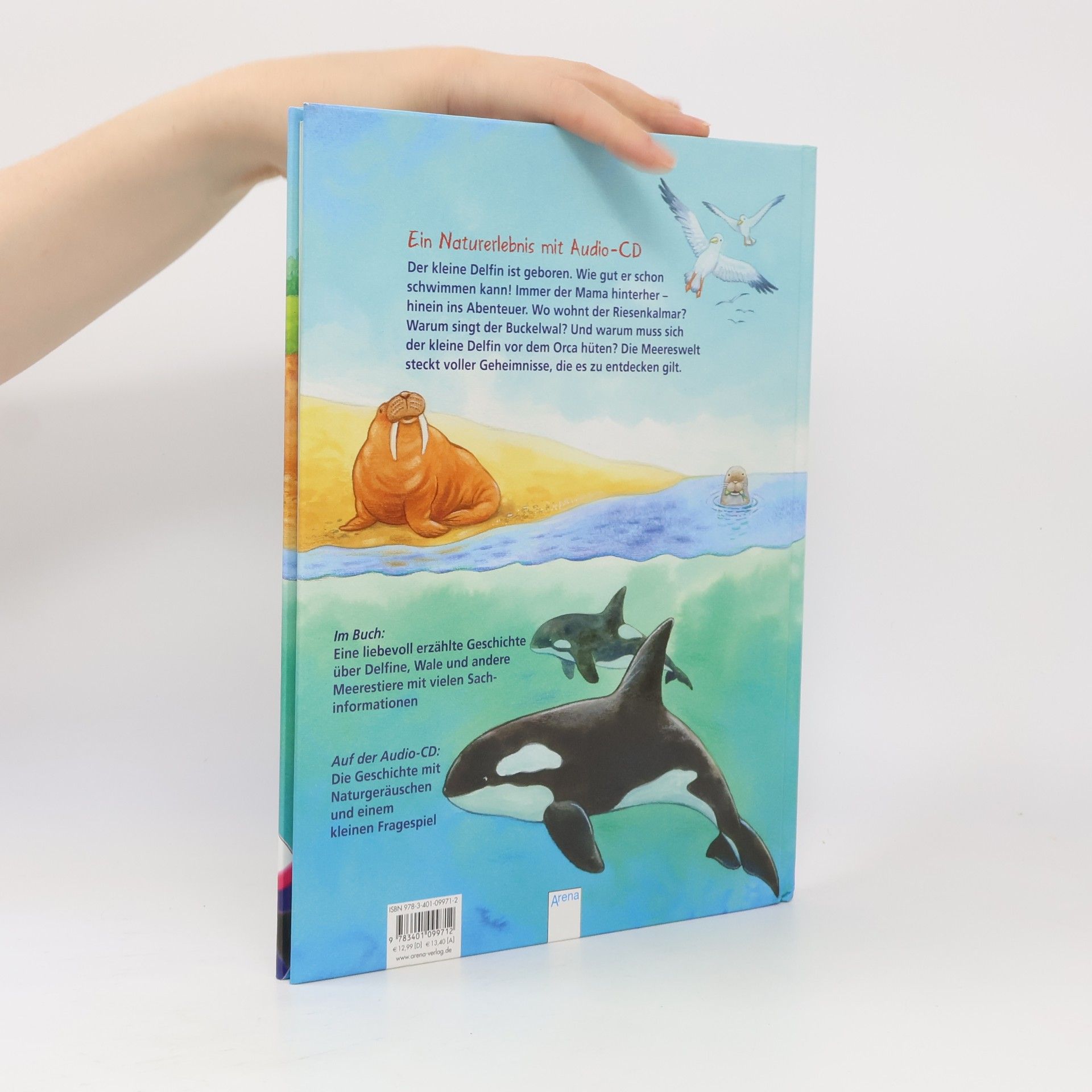 Friederun Reichenstetter Der kleine Delfin und seine Freunde im Meer, m. Audio-CD