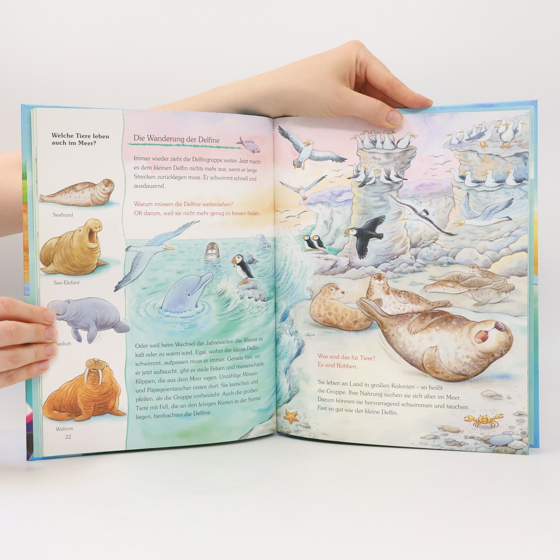 Friederun Reichenstetter Der kleine Delfin und seine Freunde im Meer, m. Audio-CD
