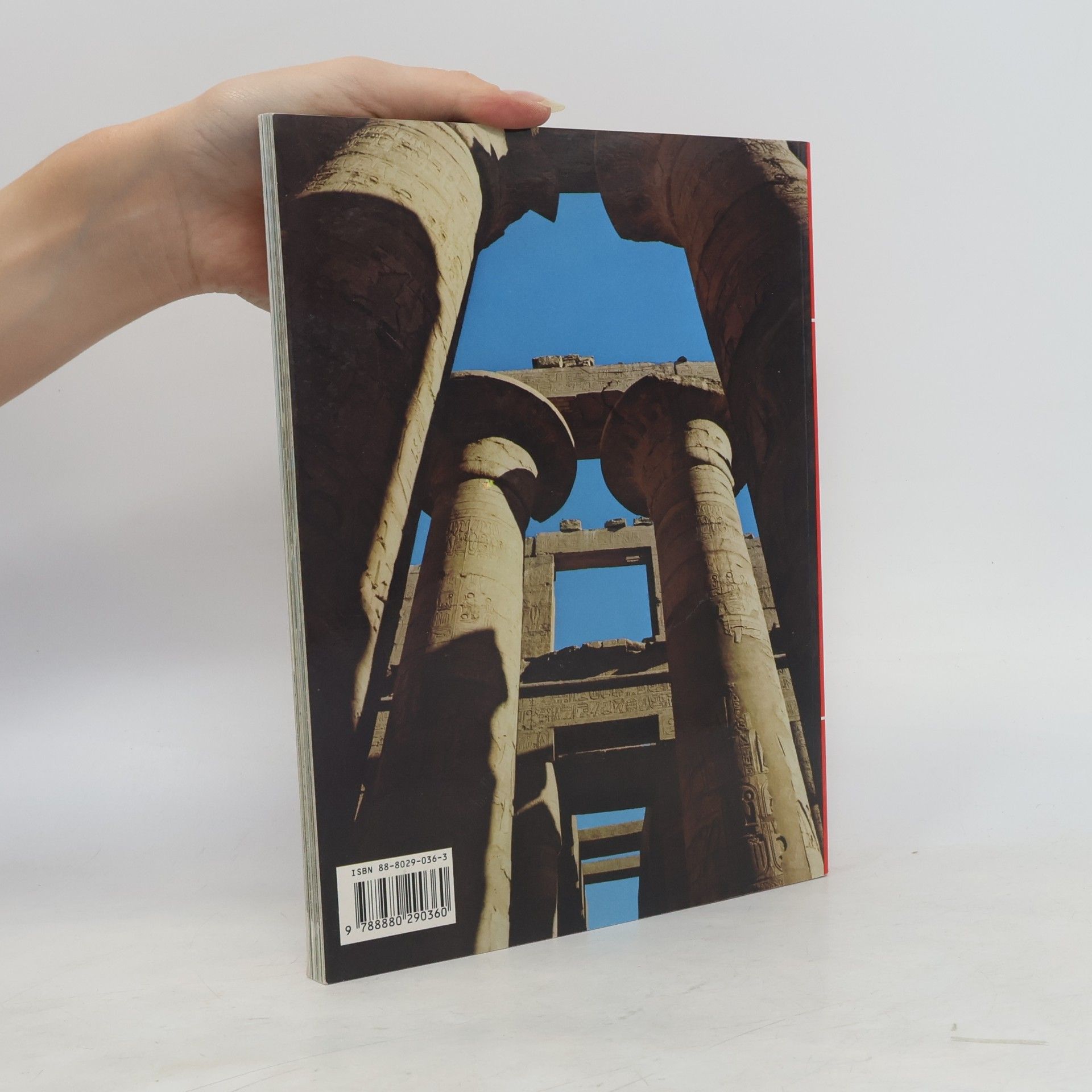 Abbas Chalaby Toute l'Égypte - Édition française