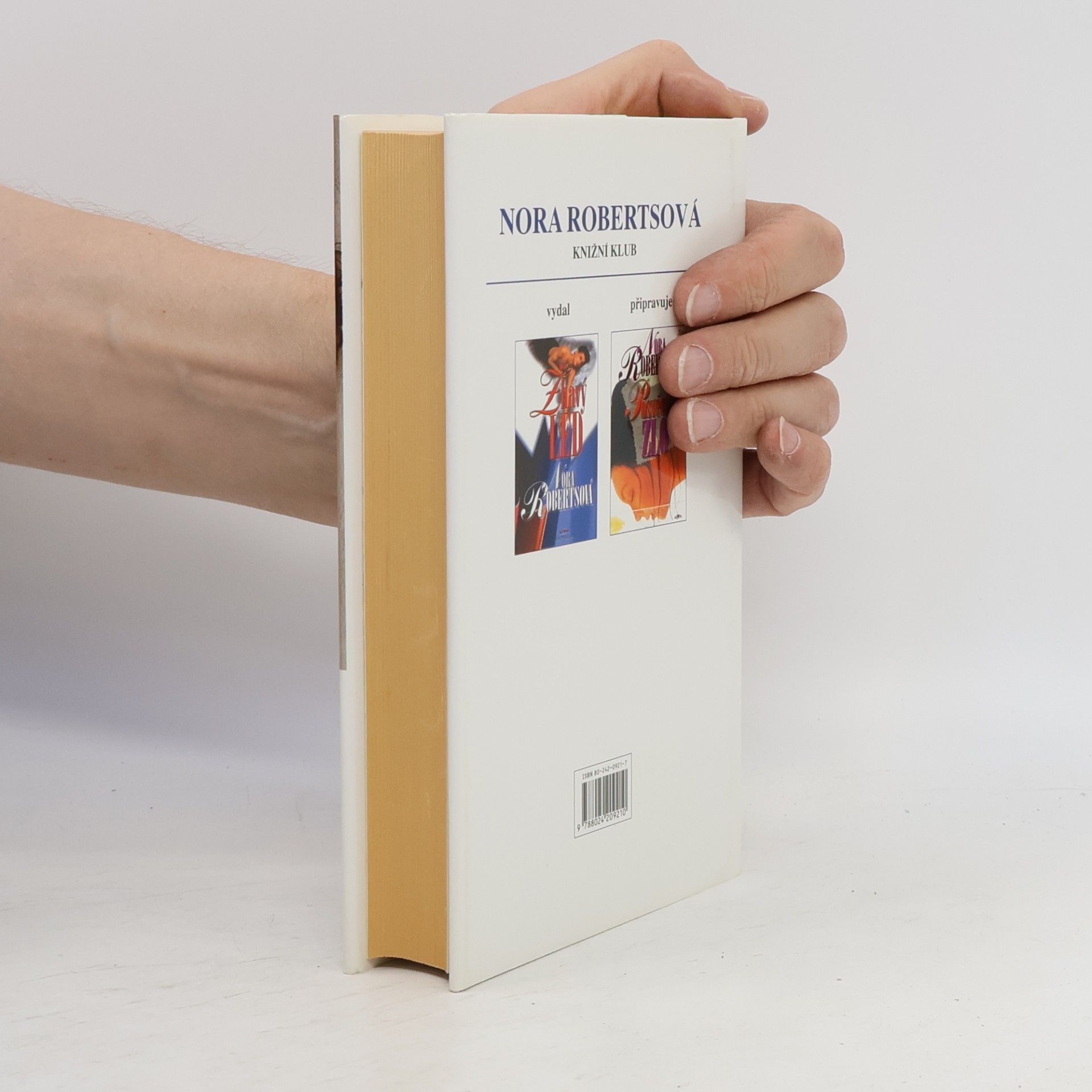 Nora Roberts Veřejná tajemství