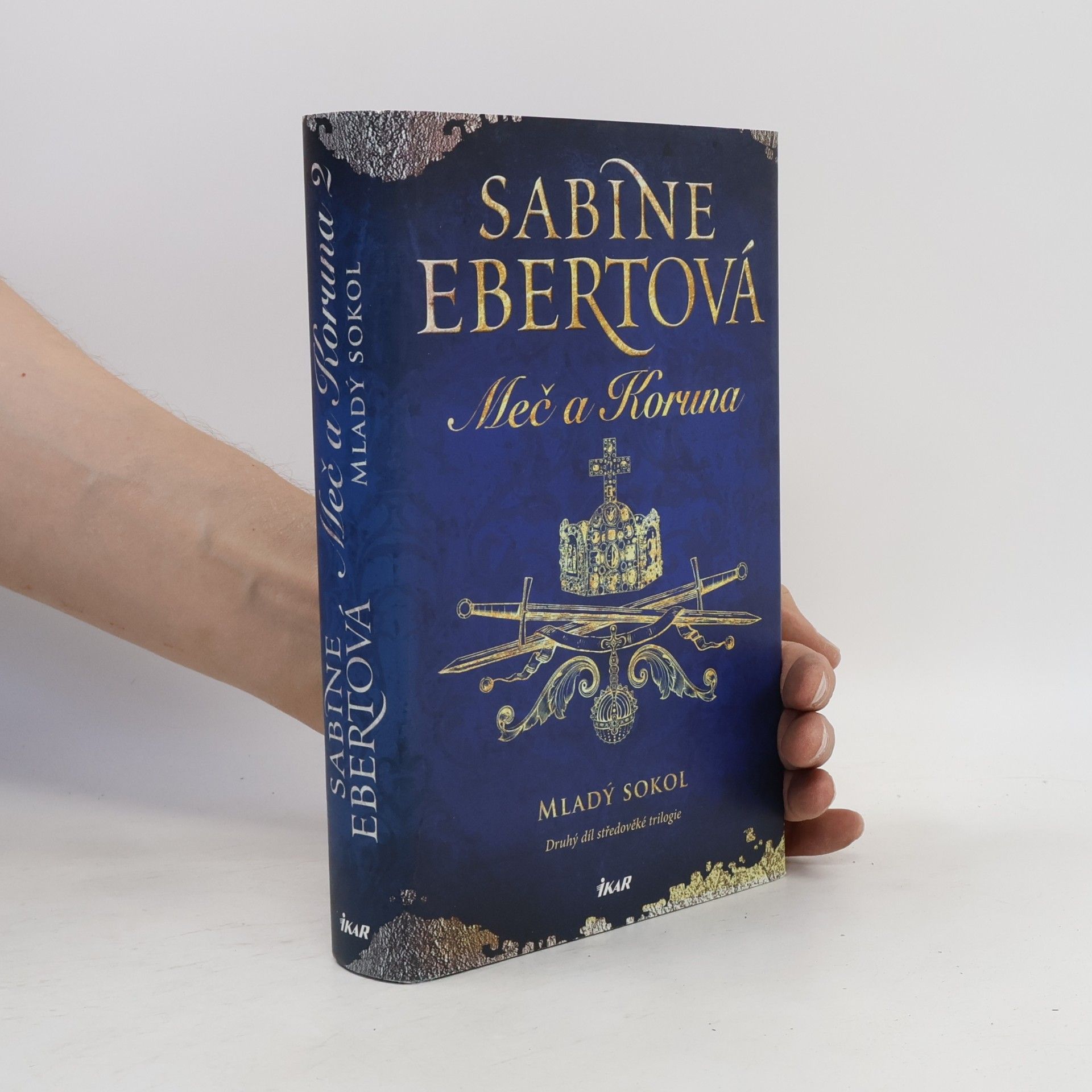 Sabine Ebert Meč a Koruna. Mladý sokol