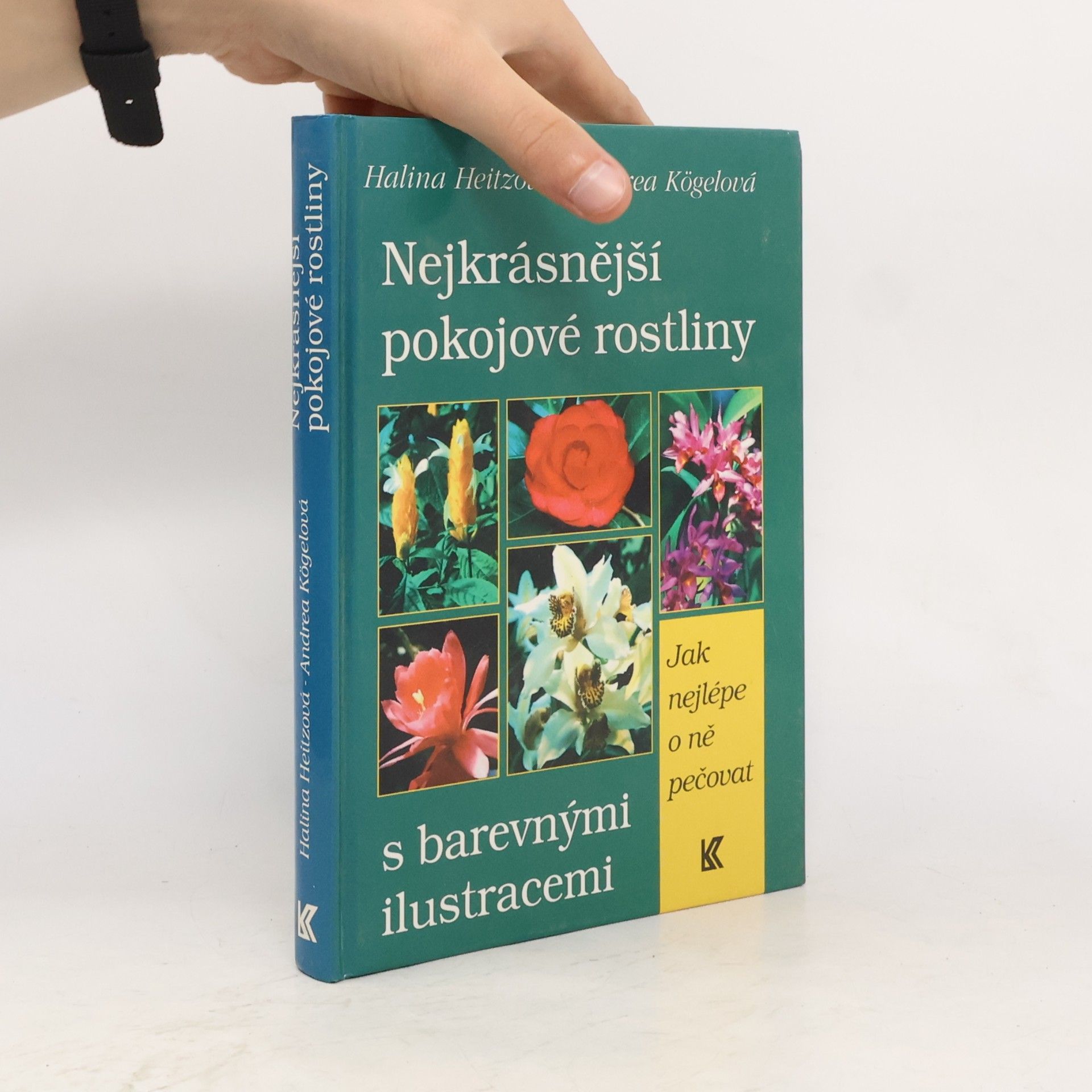 Andrea Kögel Nejkrásnější pokojové rostliny