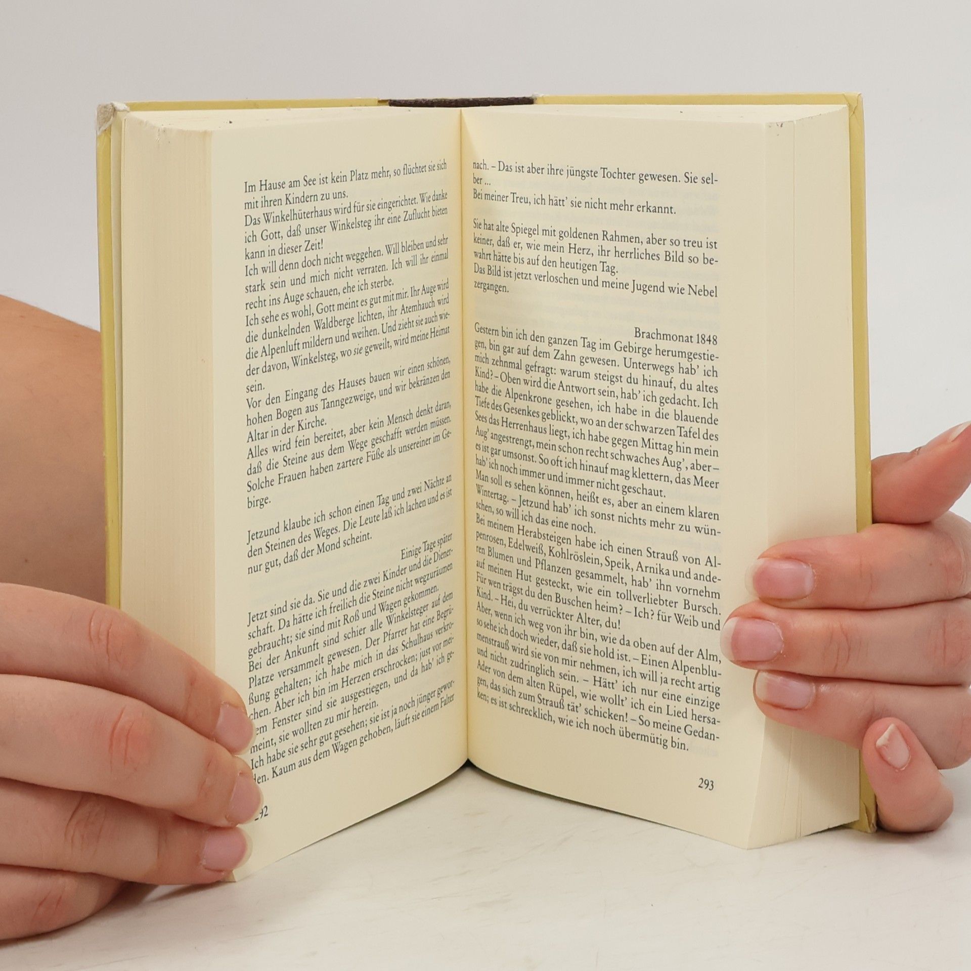 Peter Rosegger Gesammelte Werke 1. Die Schriften des Waldschulmeisters Heidepeters Gabriel