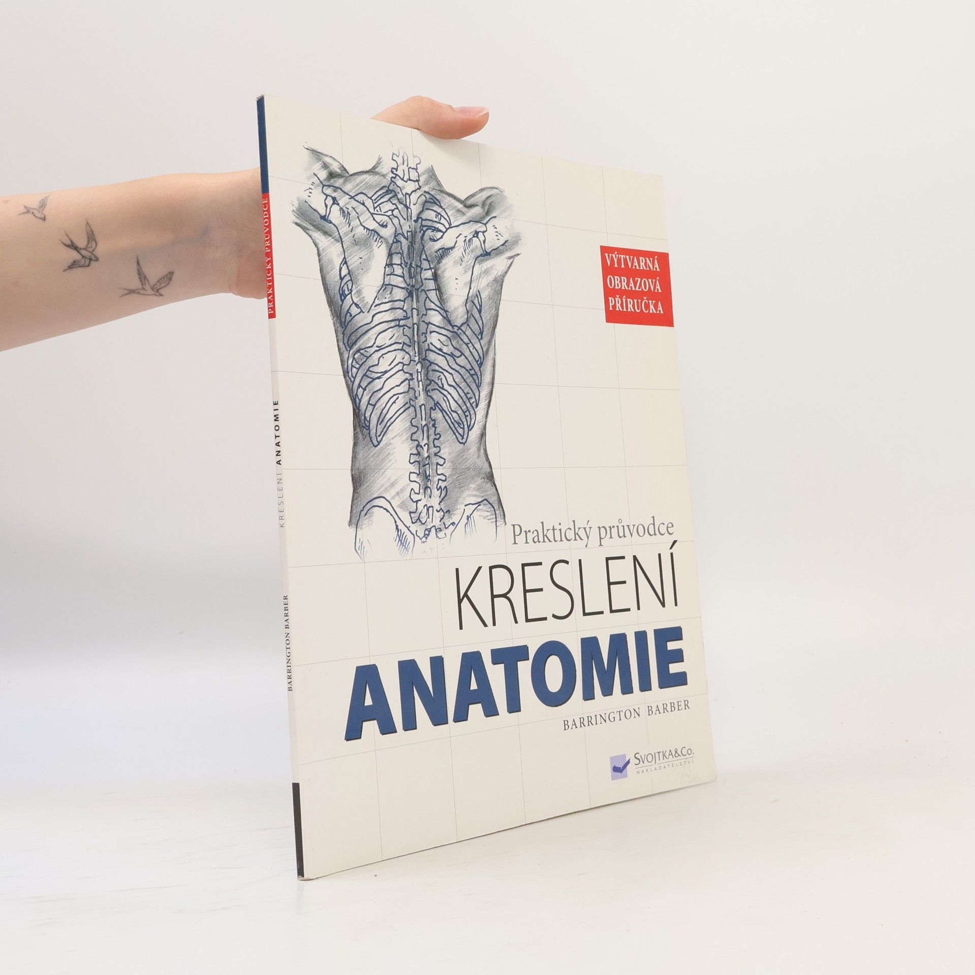 Anatomie: kreslení