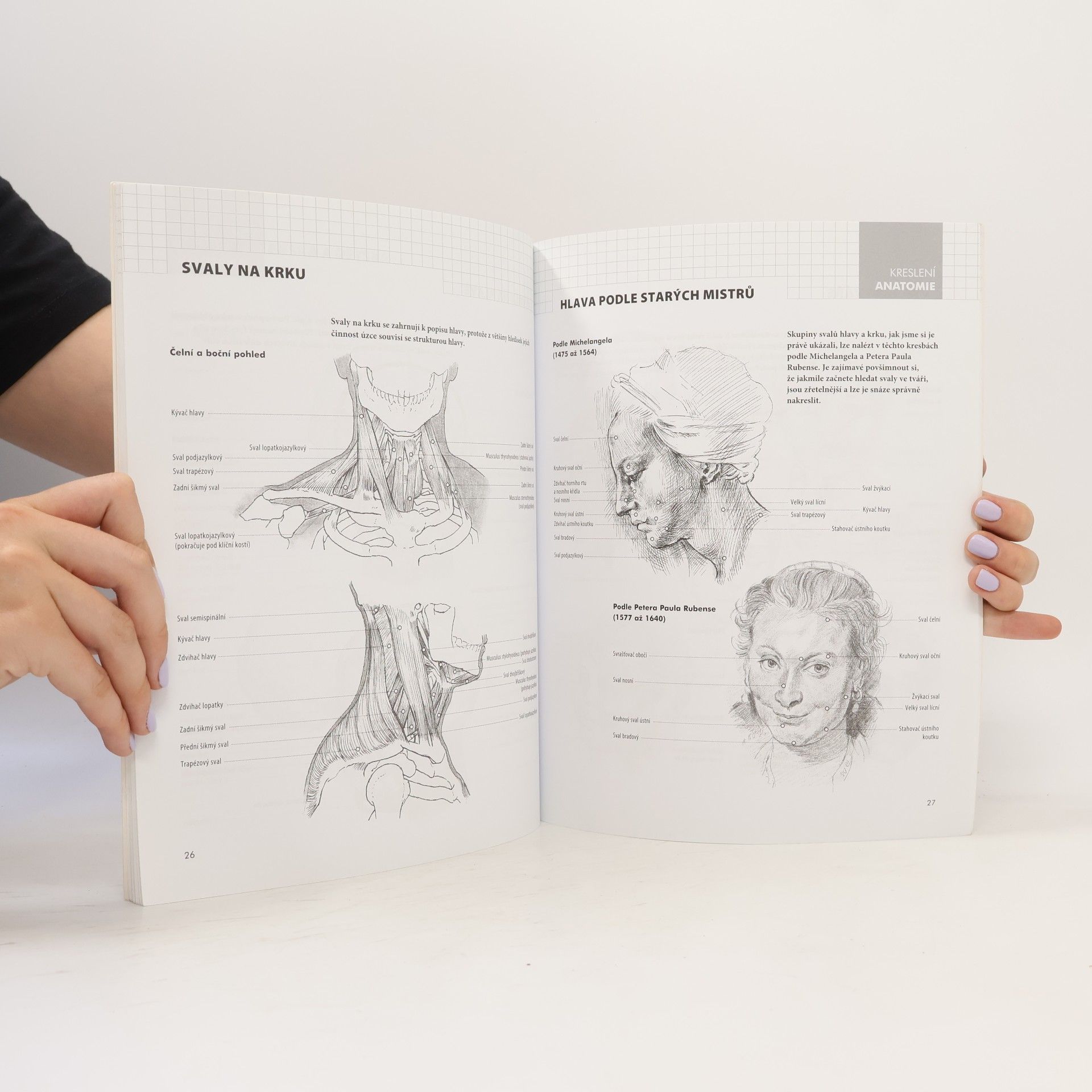 Barrington Barber Anatomie: kreslení