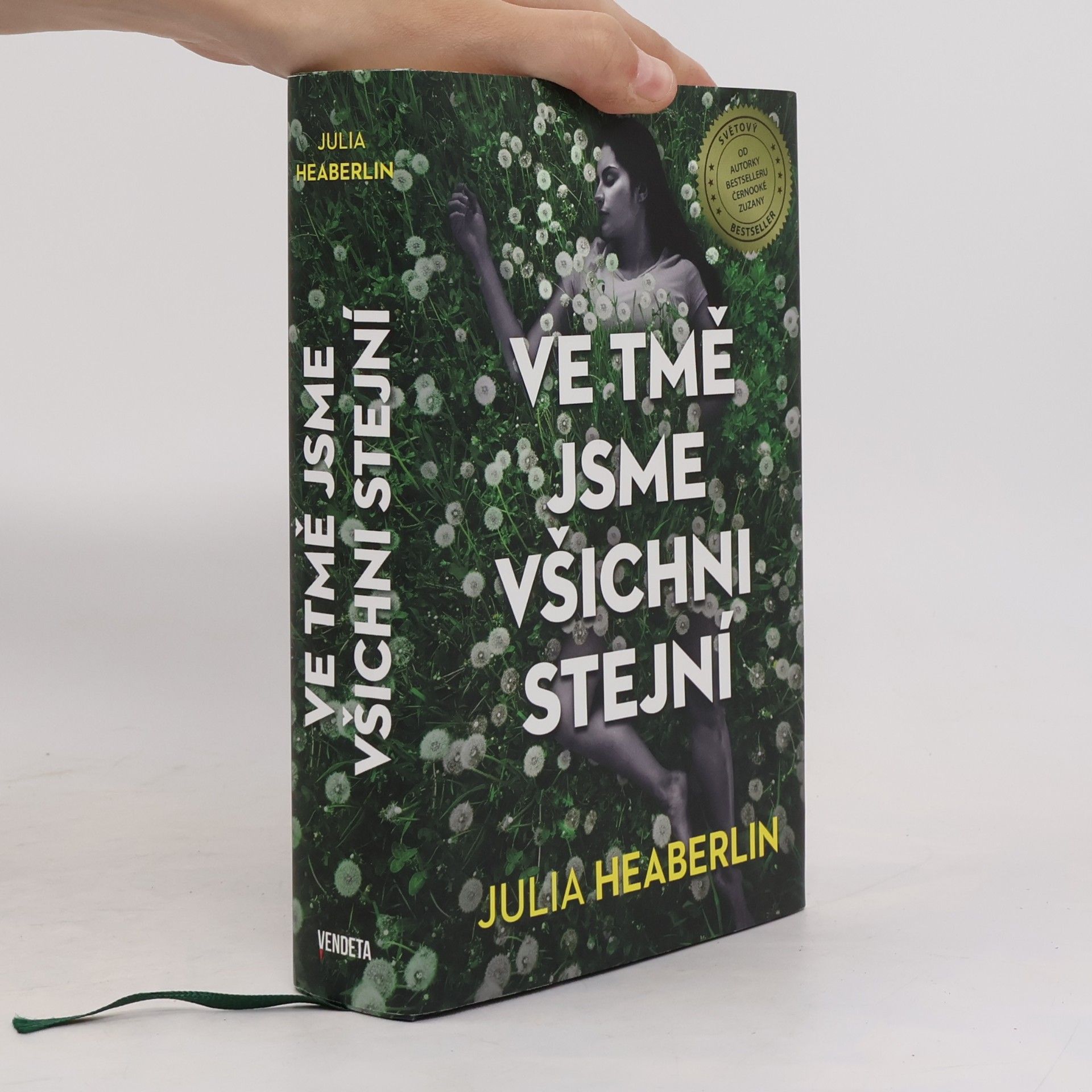 Julia Heaberlin Ve tmě jsme všichni stejní