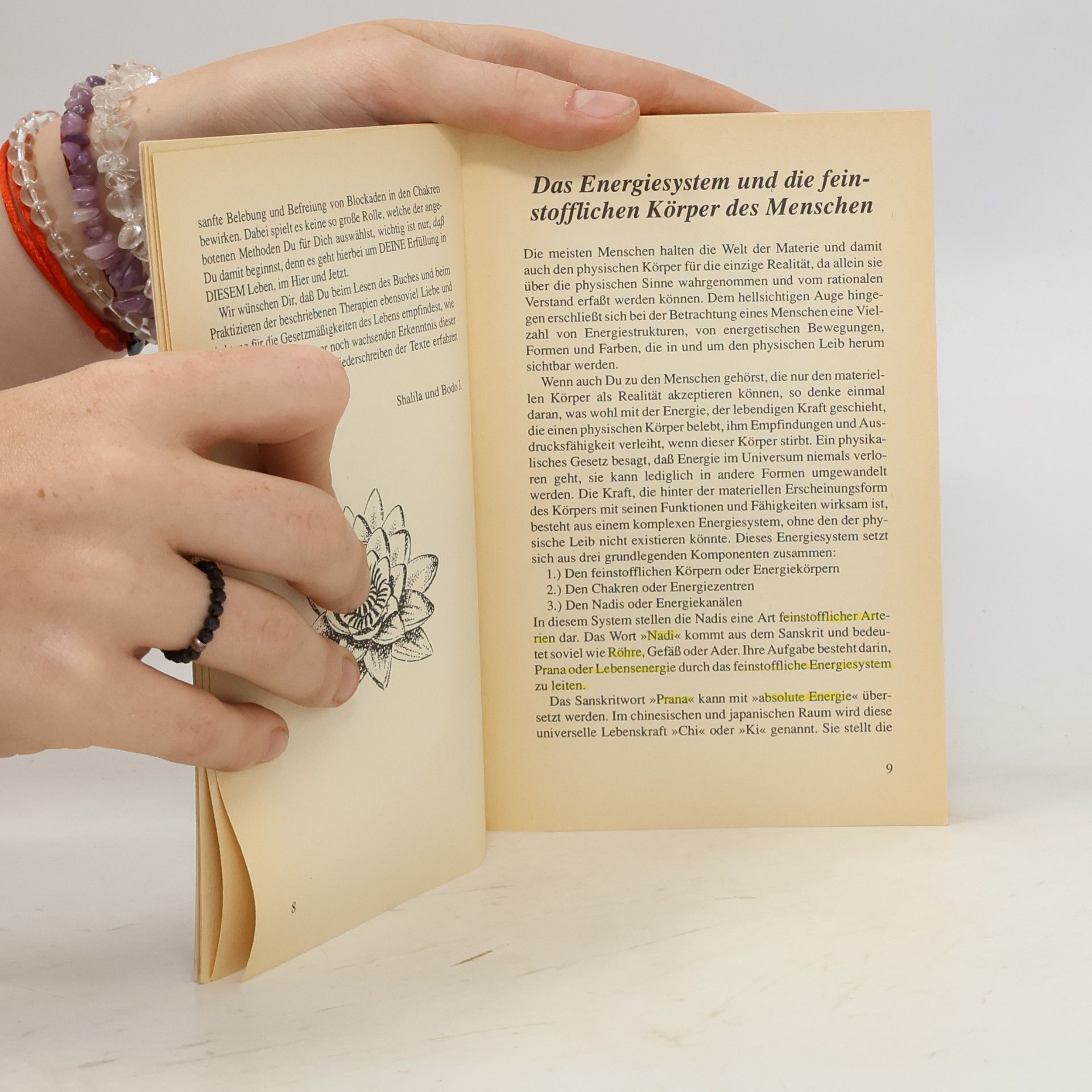 Shalila Sharamon Das Chakra-Handbuch