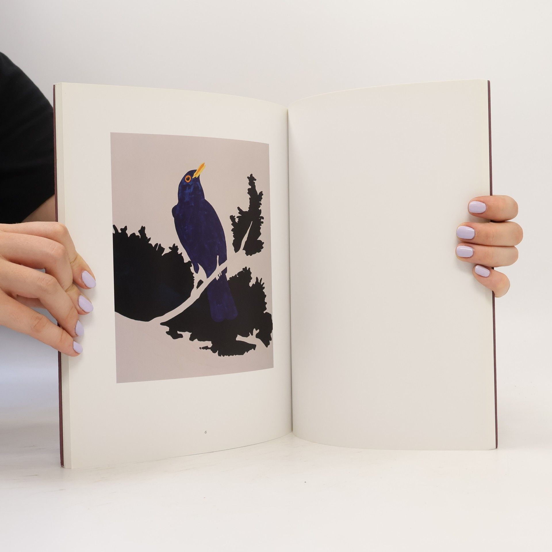 Katharine Stout Gary Hume